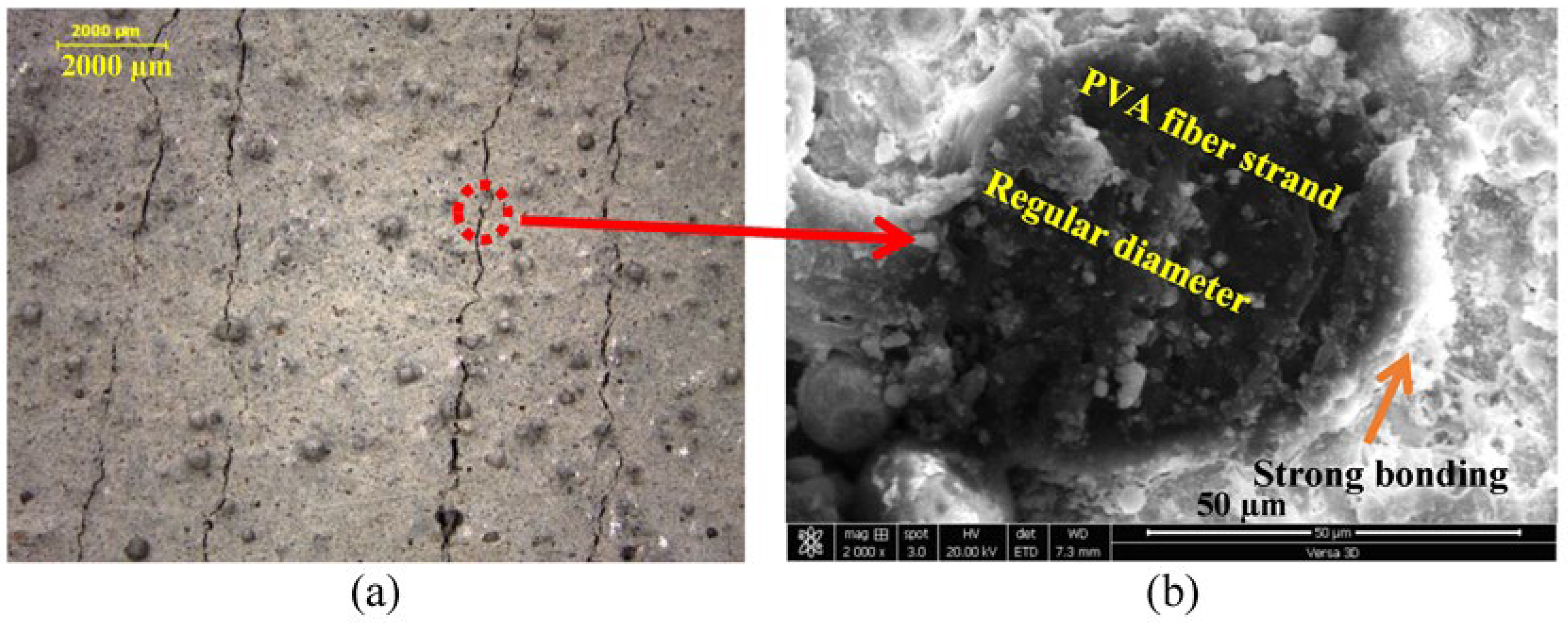 Materials 16 05896 g015