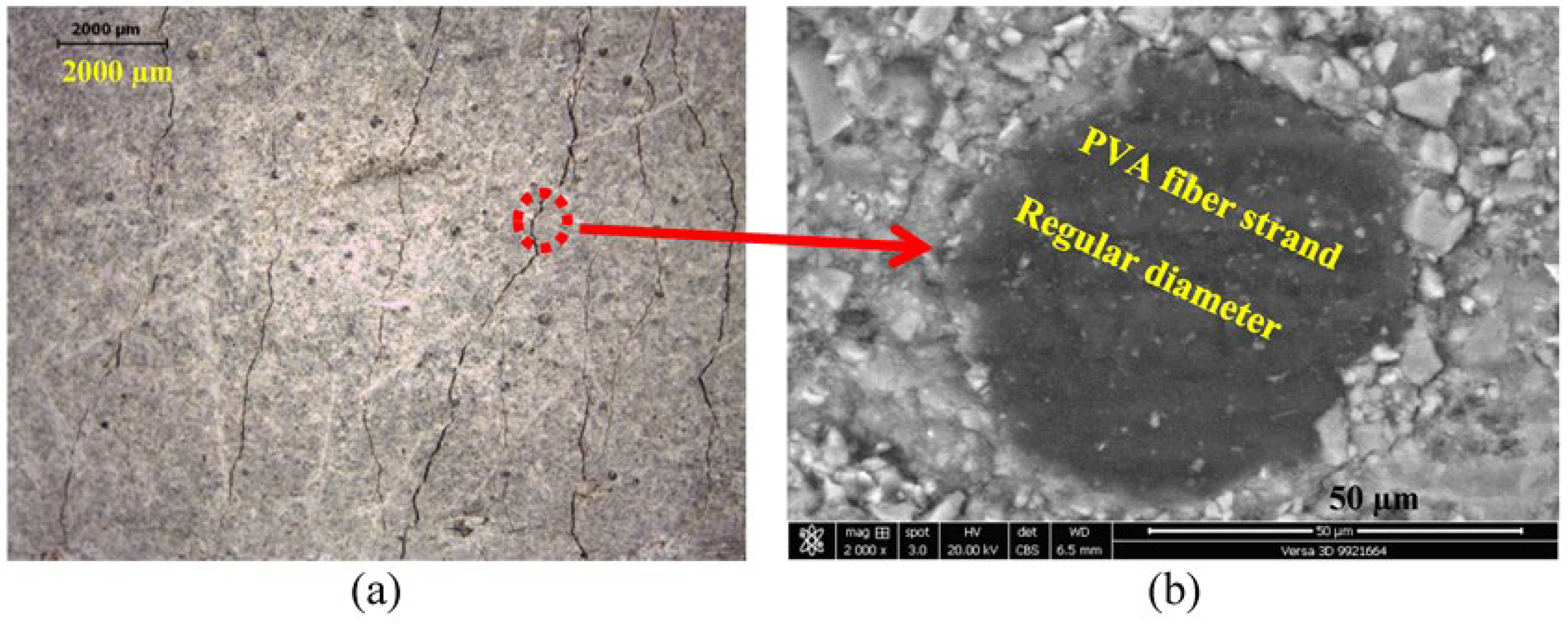 Materials 16 05896 g016