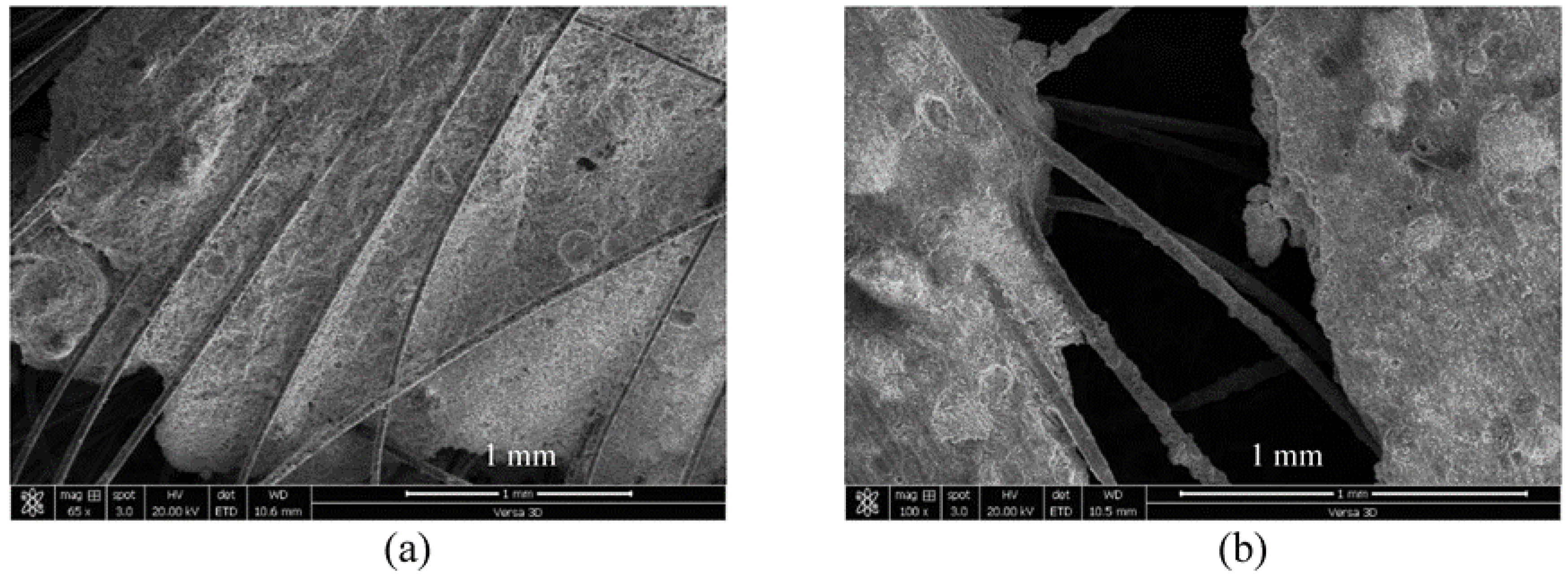 Materials 16 05896 g017