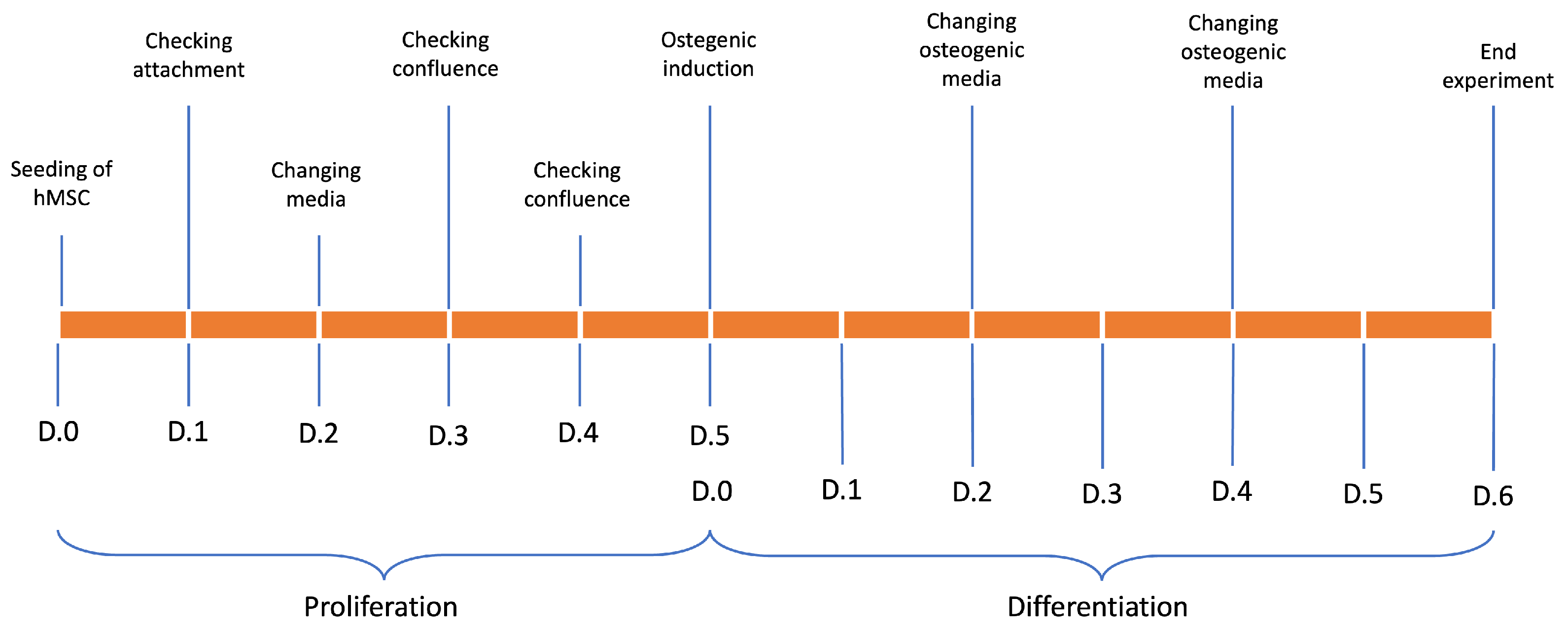 Materials 16 05898 g001