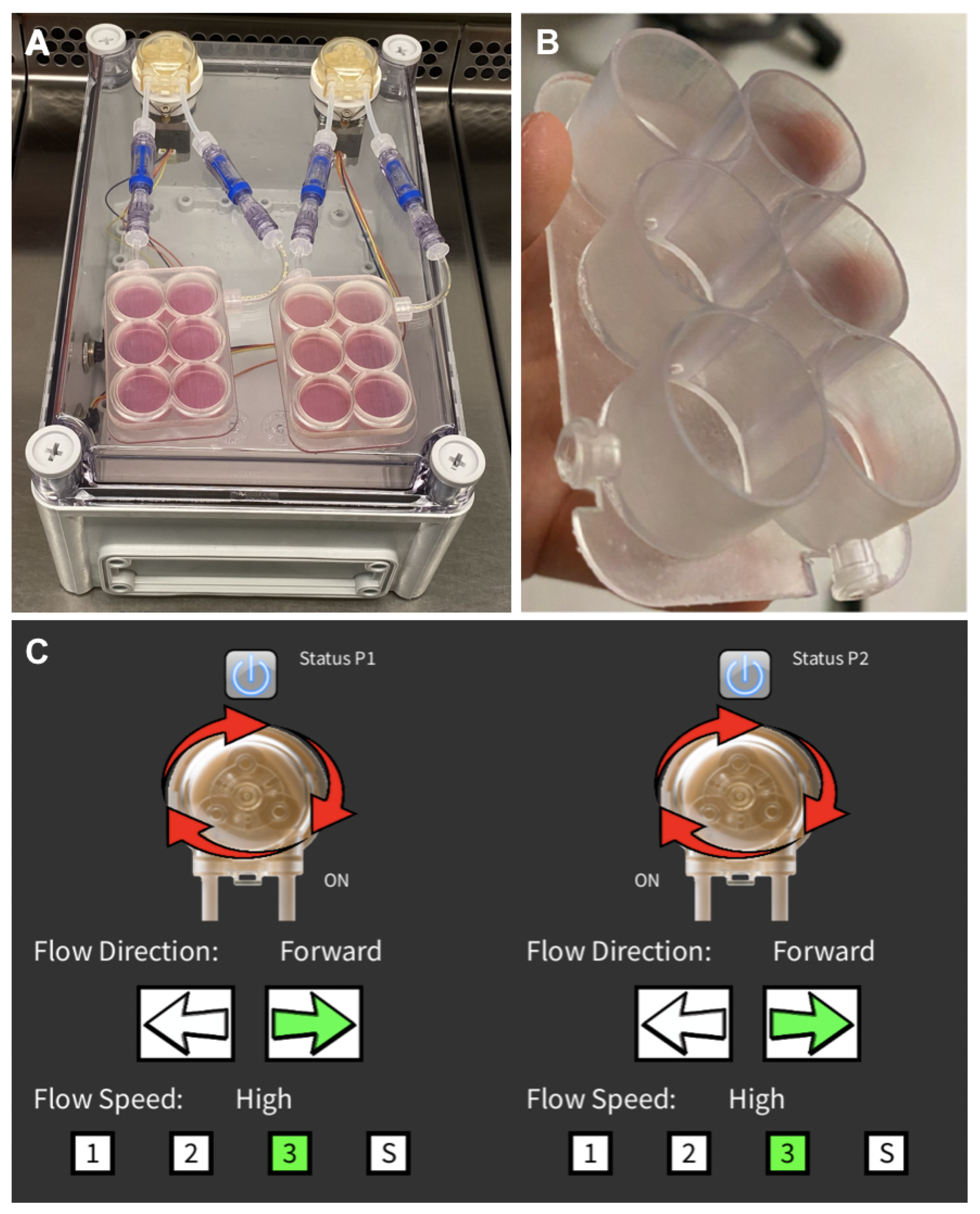 Materials 16 05898 g003