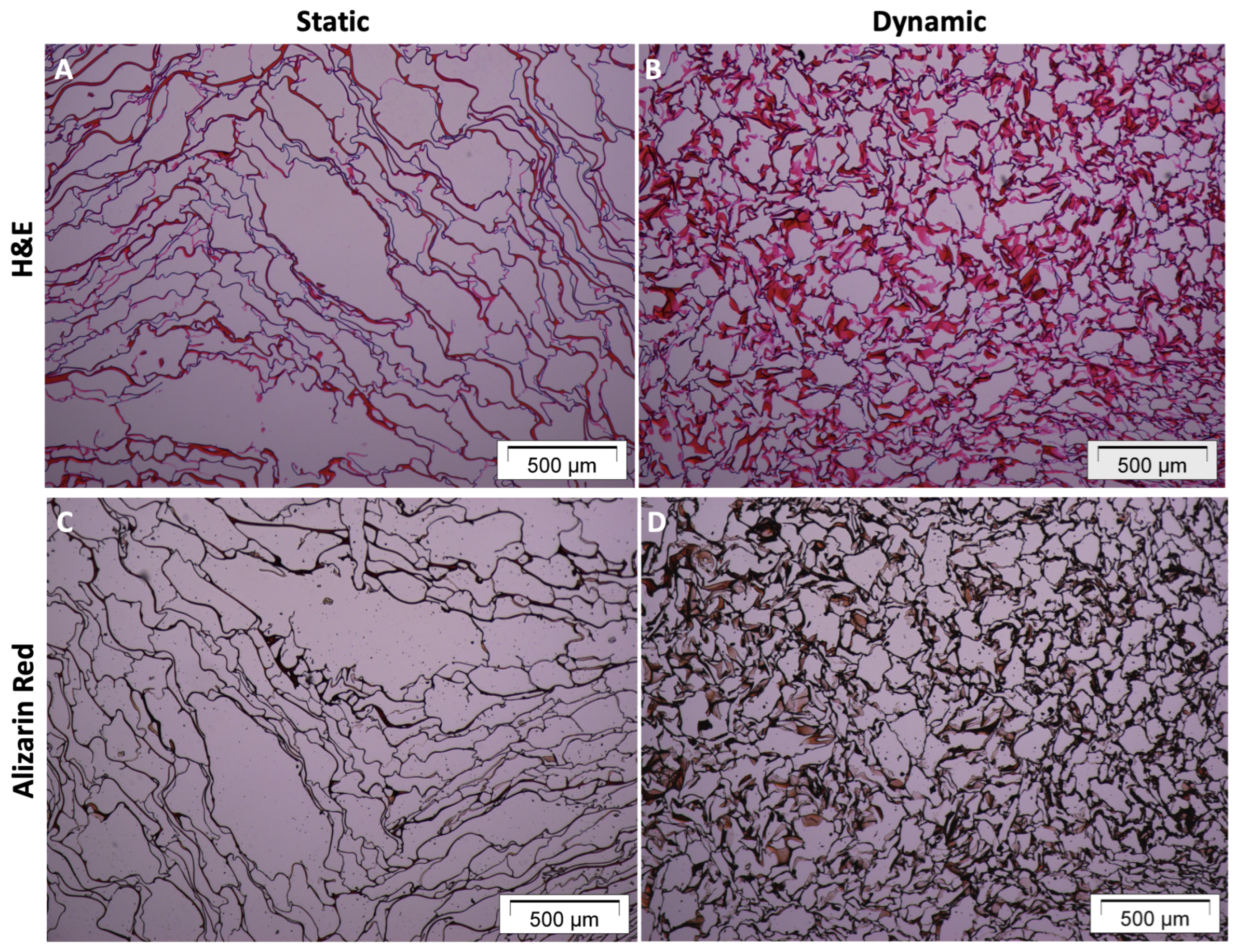 Materials 16 05898 g004