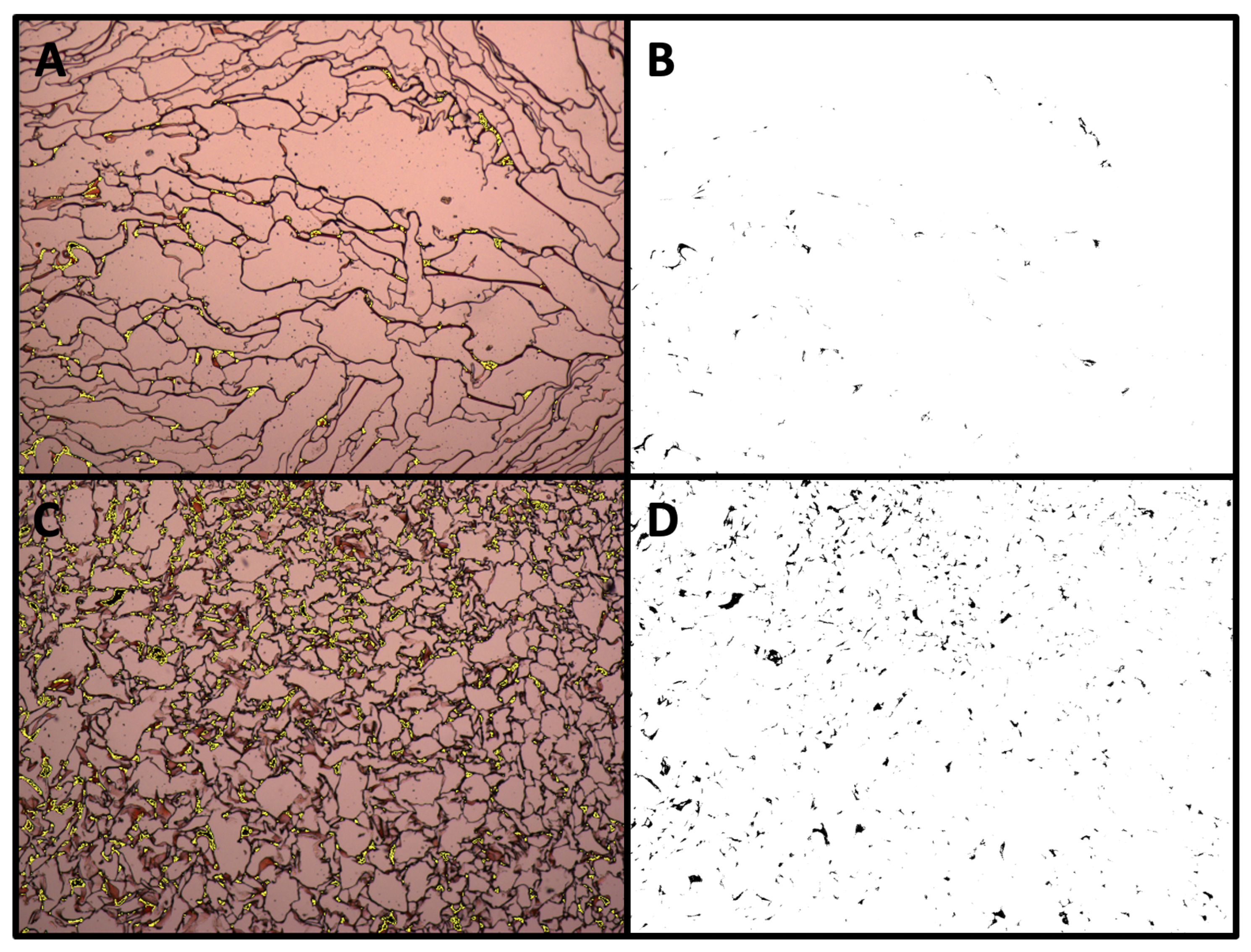 Materials 16 05898 g005