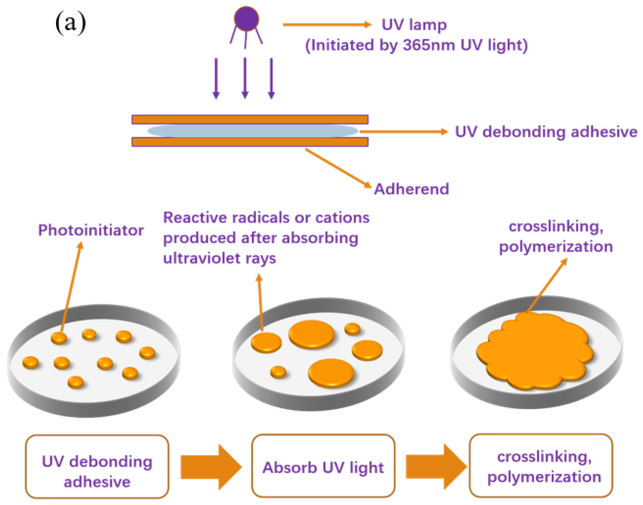 The Science Behind UV Light Activated Adhesive Glue: Understanding the  Photopolymerization Process, by jonylu1919@gmail.com