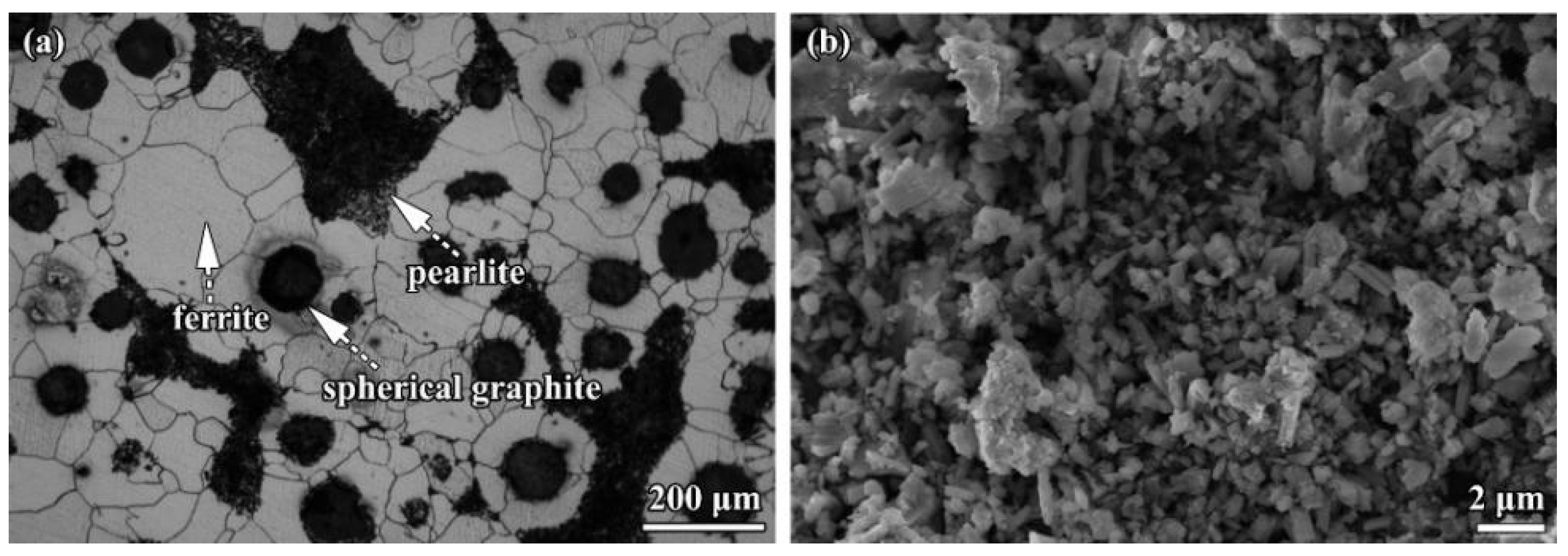 ｅｎｇ Effect of Scanning Strategy on the Microstructure and