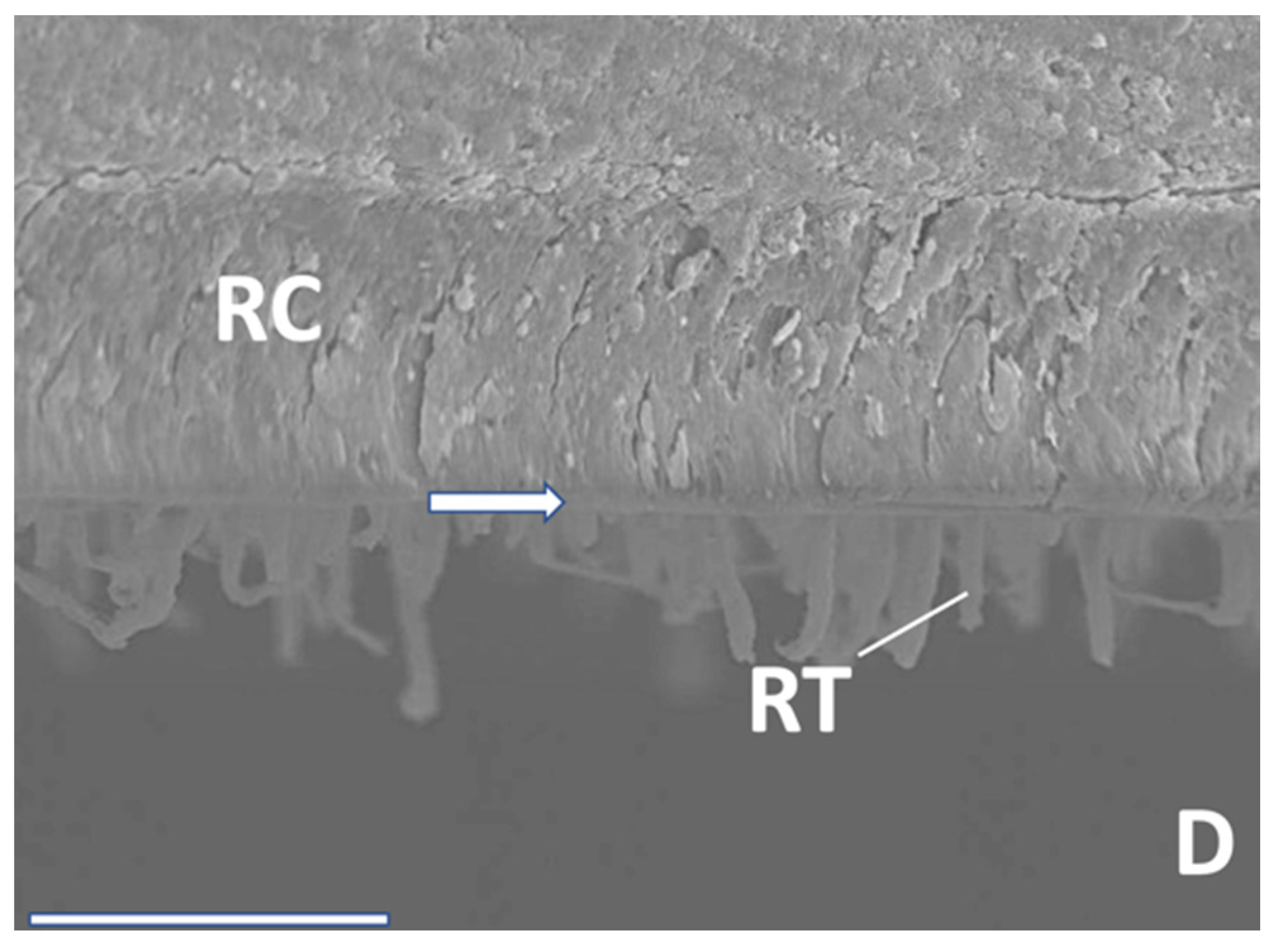 Materials 16 05948 g009