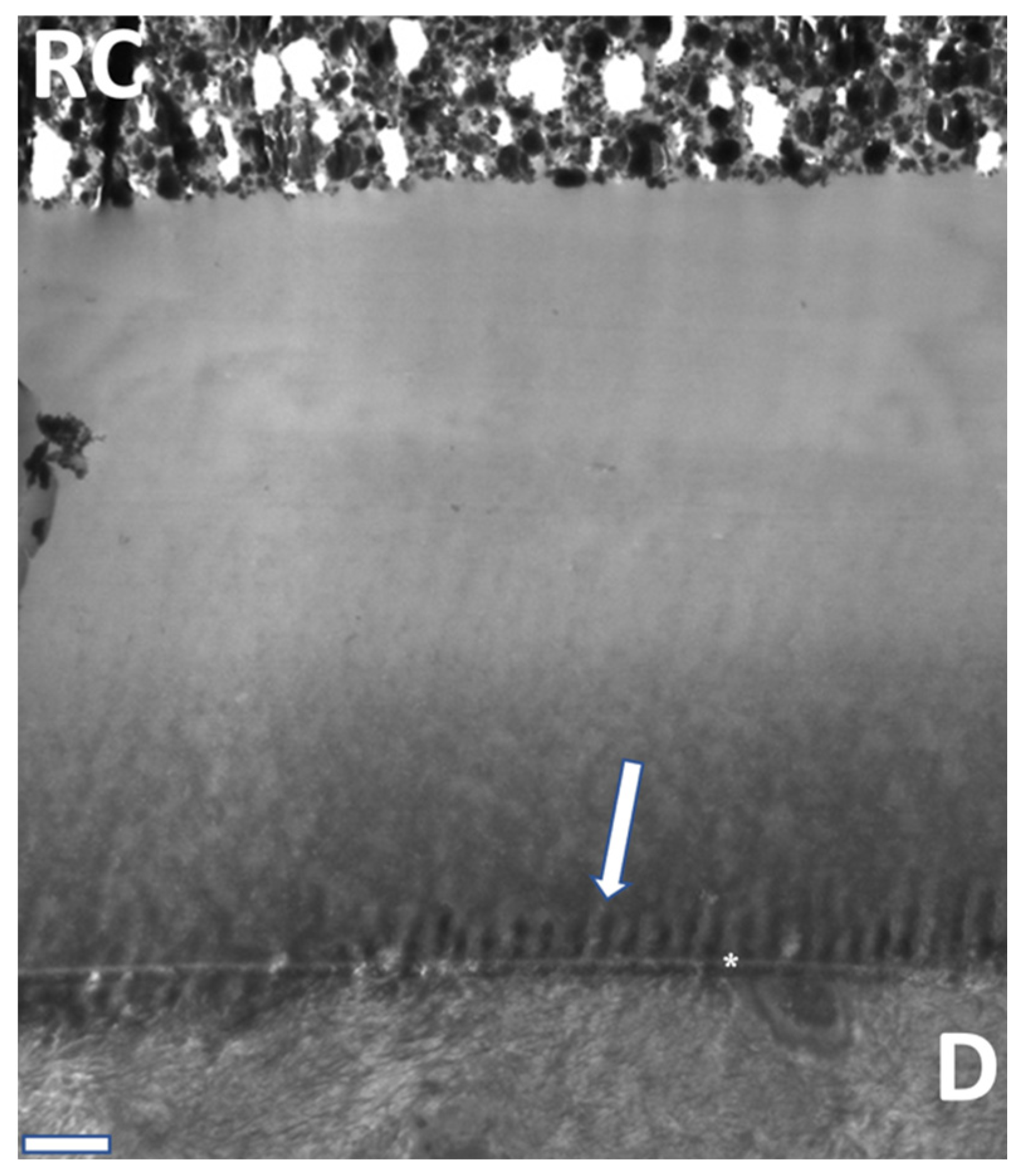 Materials 16 05948 g012