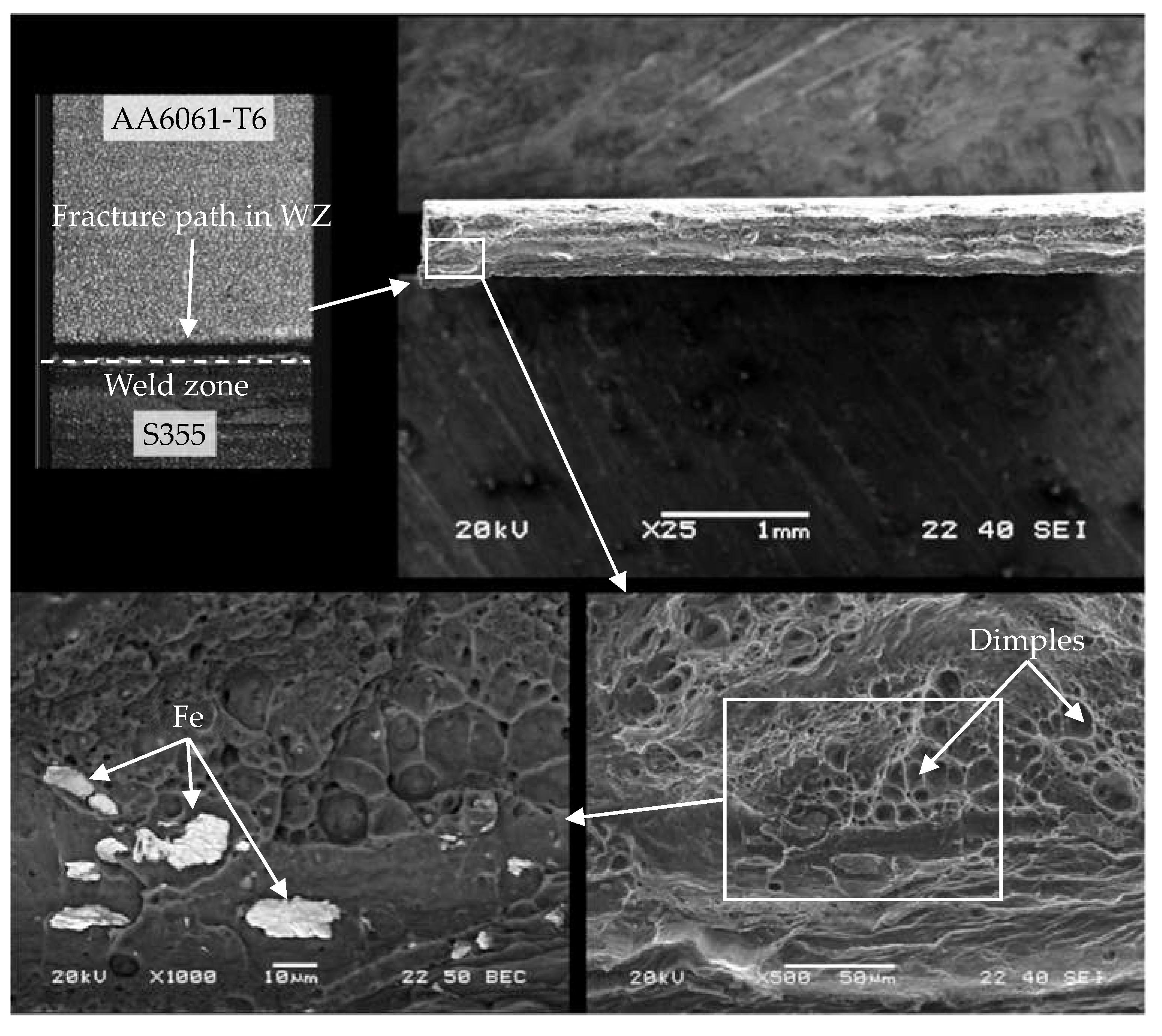 Materials 16 05950 g021 Materials 16 05950 g021