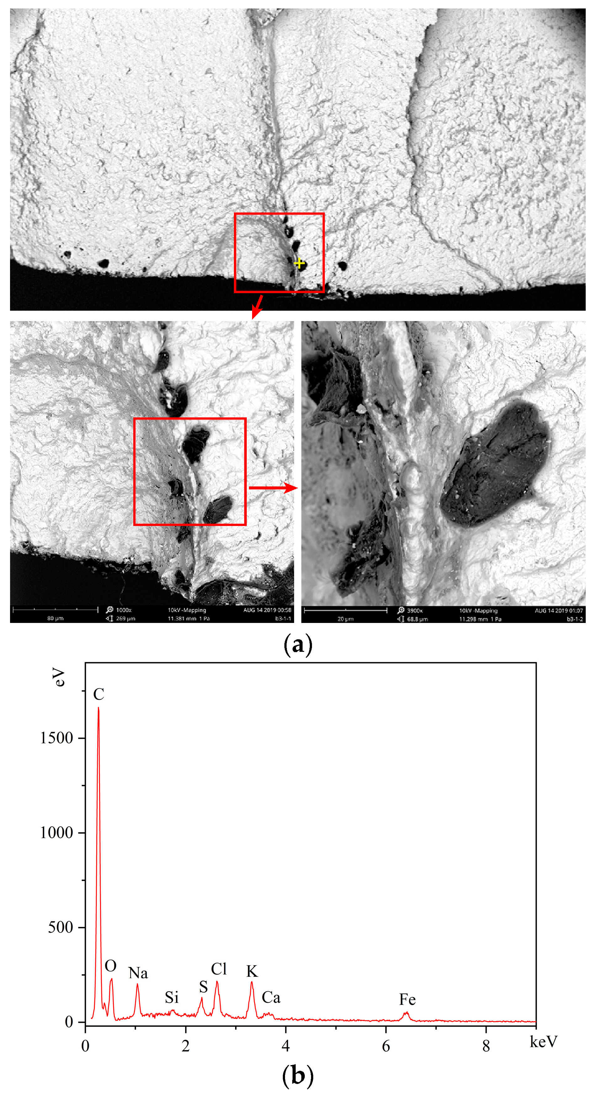 Materials 16 05961 g014