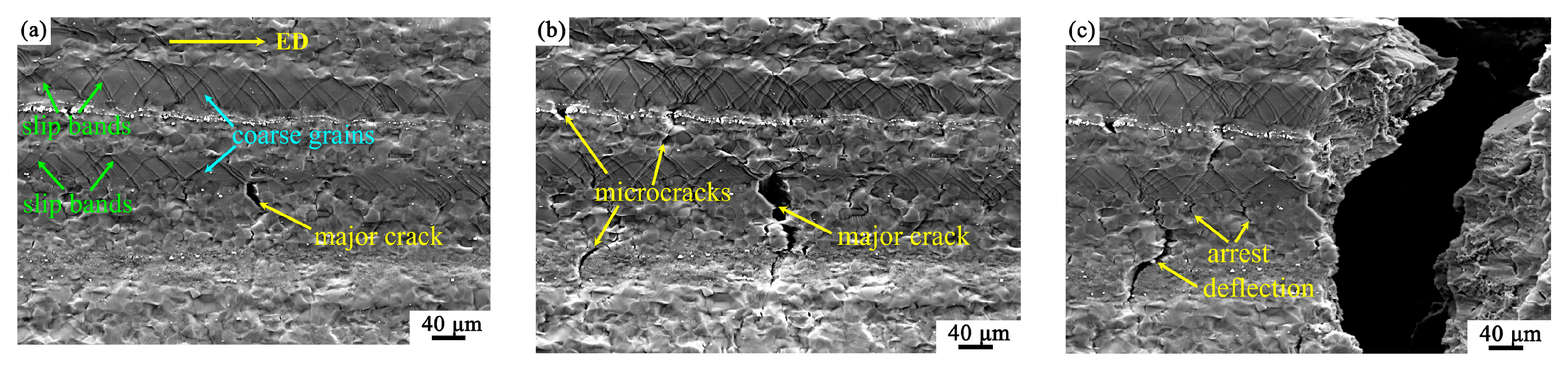 Materials 16 05978 g004