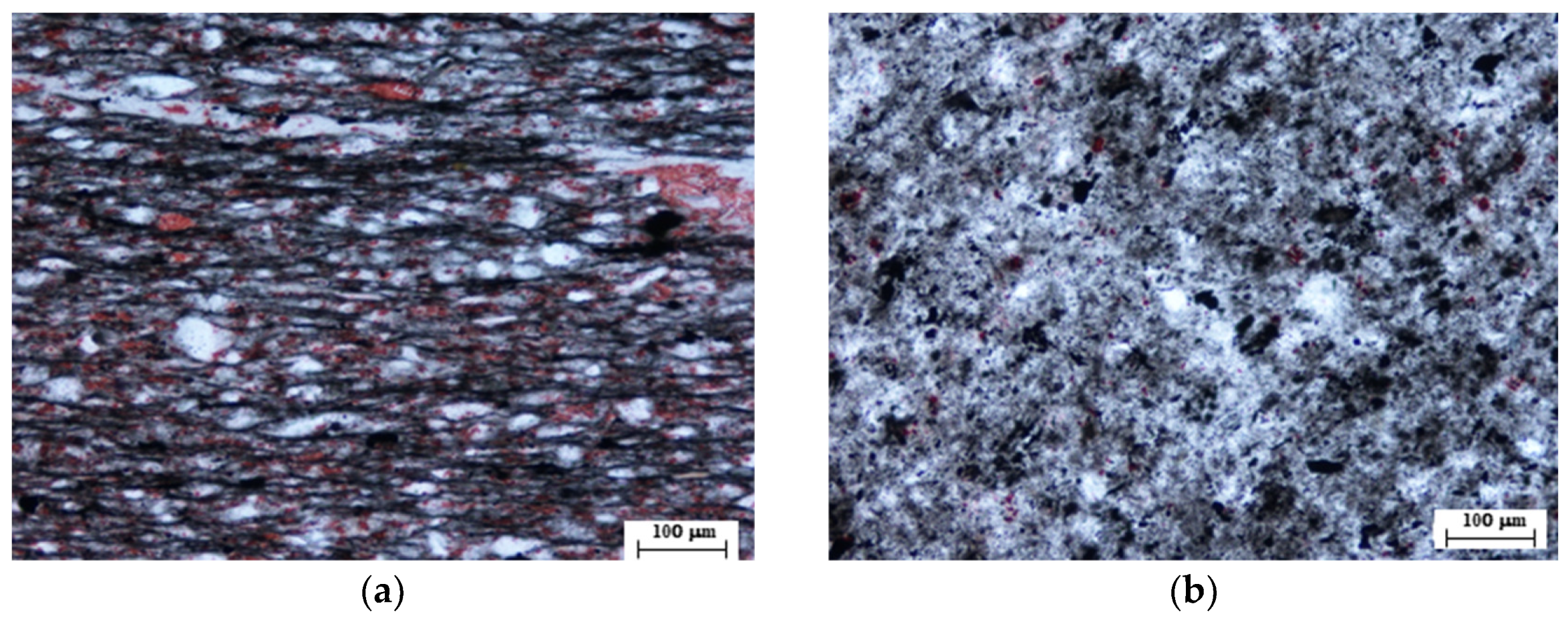 Materials 16 05987 g002