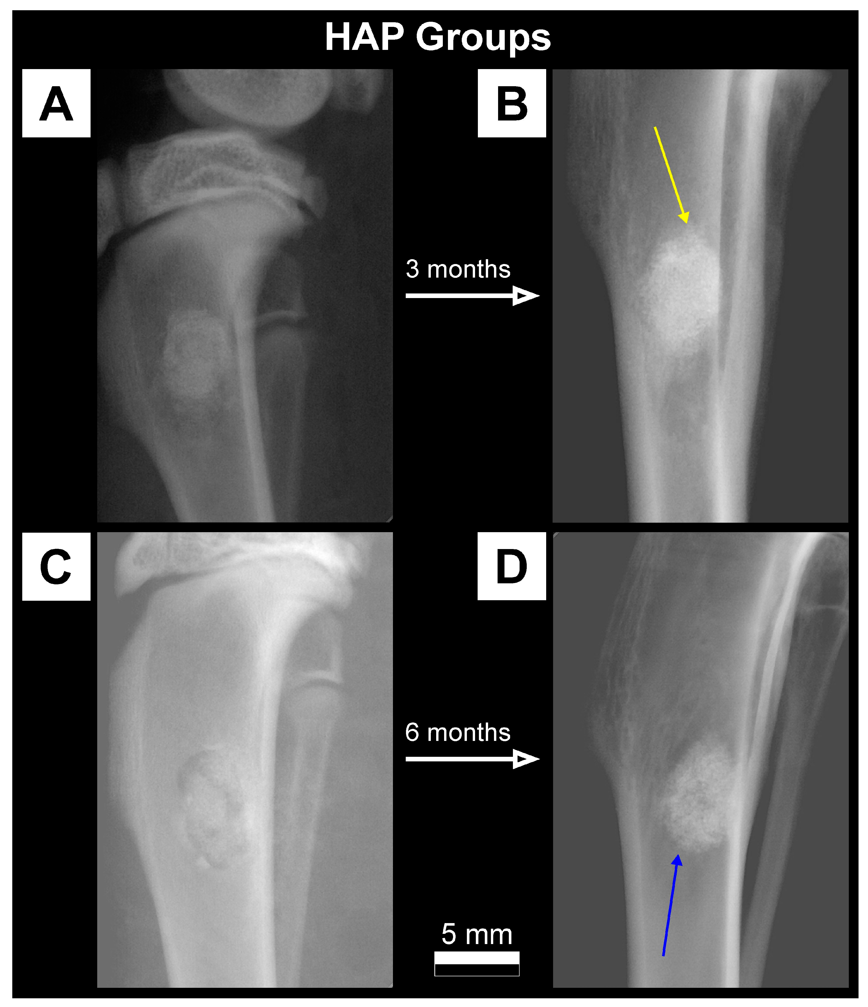 Materials 16 05992 g003