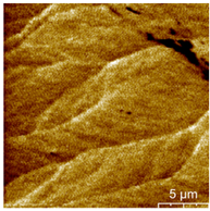 Materials 16 05995 i001 Materials 16 05995 i001