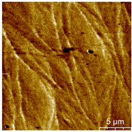 Materials 16 05995 i004 Materials 16 05995 i004