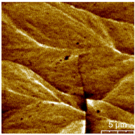 Materials 16 05995 i010 Materials 16 05995 i010