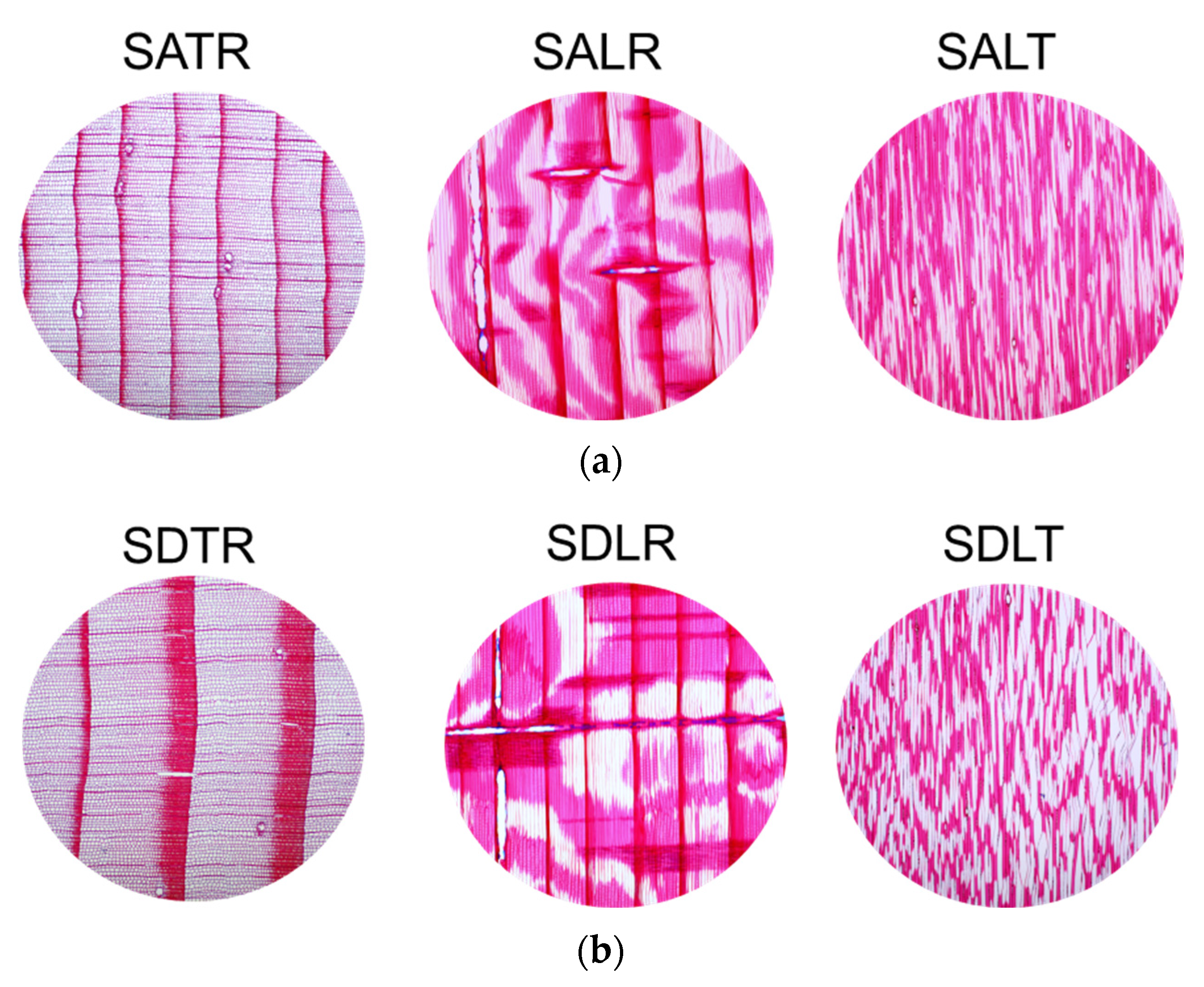 Materials 16 05998 g004