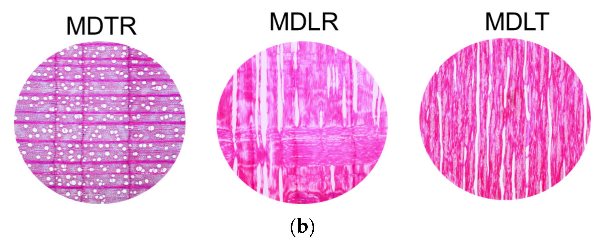 Materials 16 05998 g005b