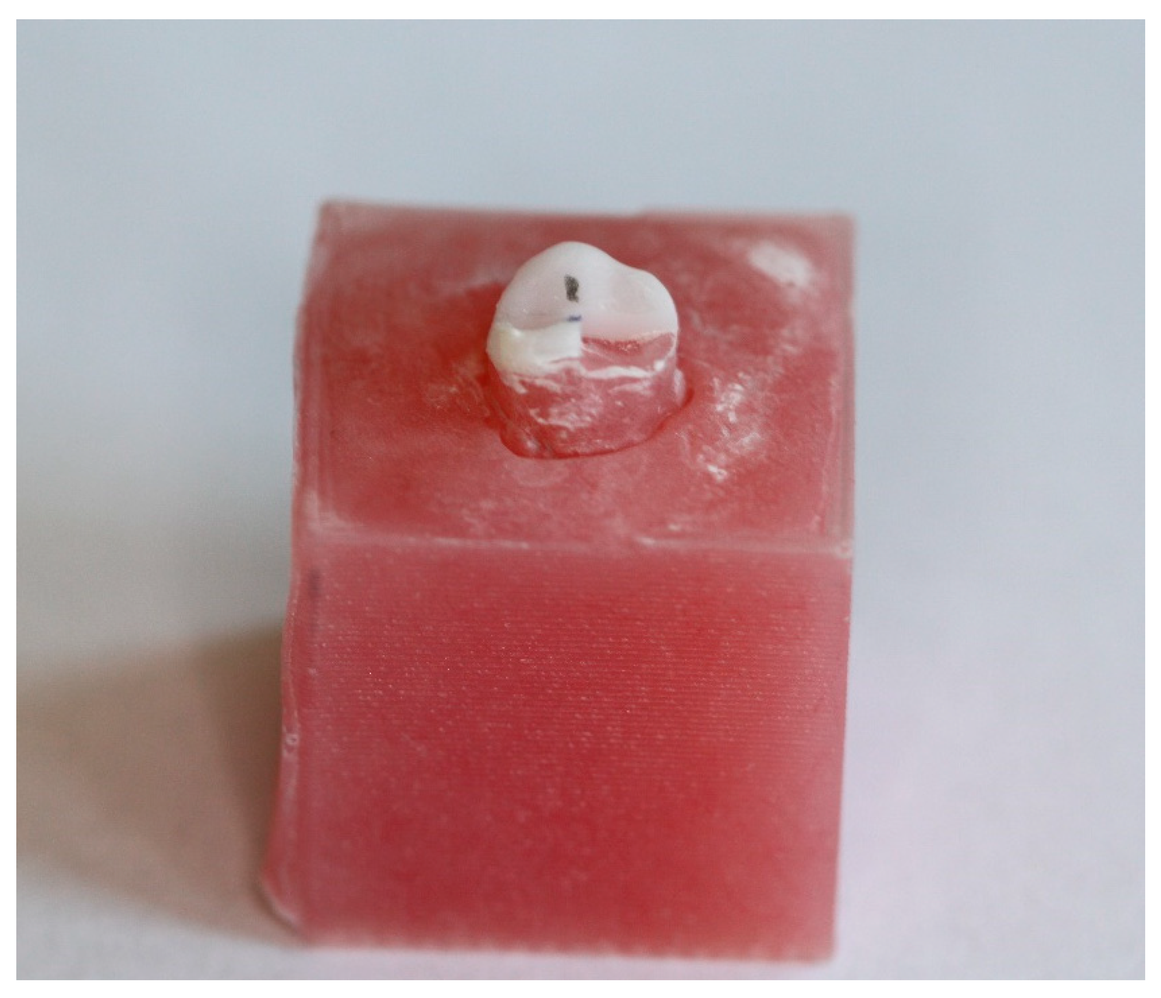 Materials 16 06006 g004