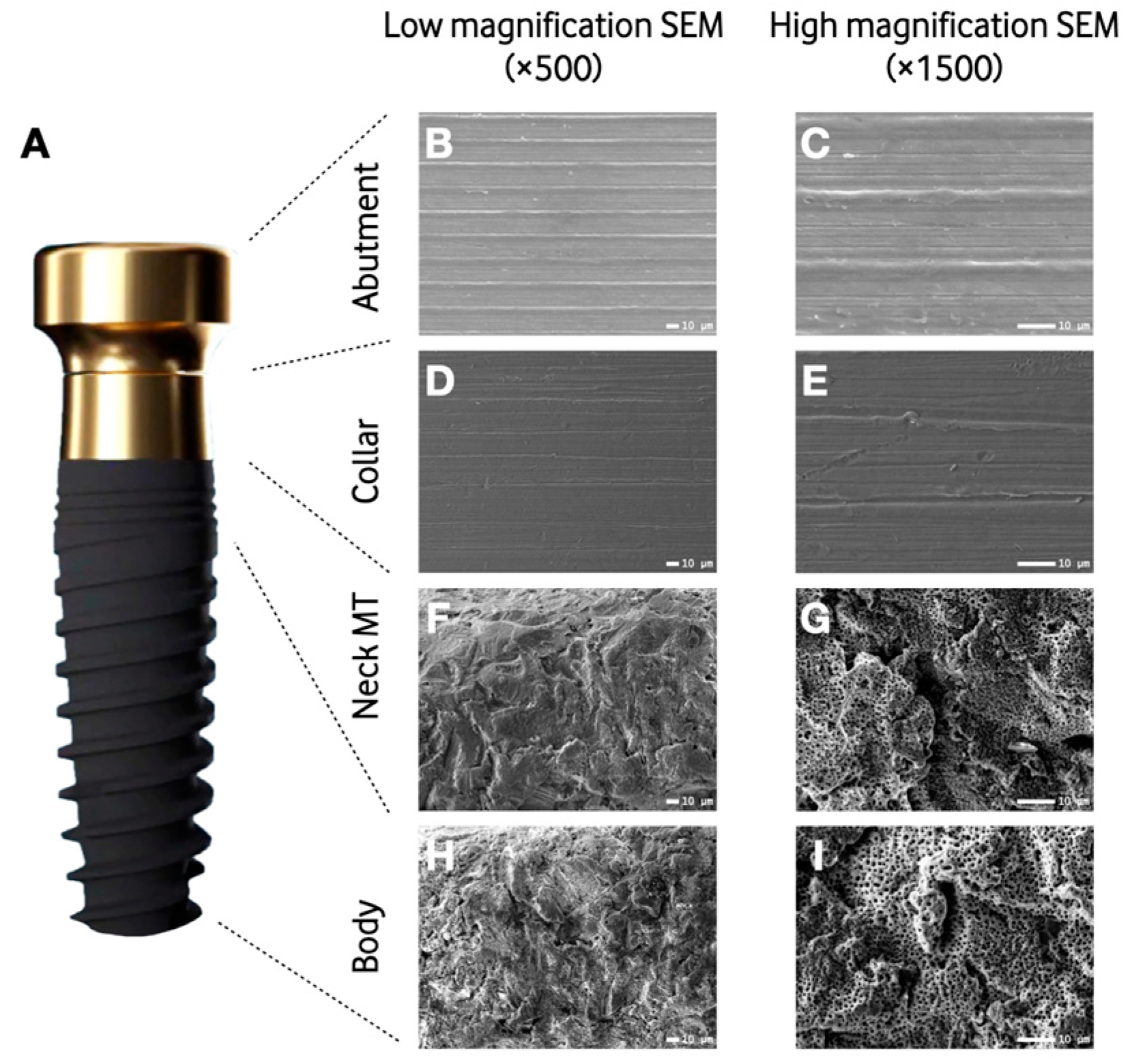 Materials 16 06012 g001
