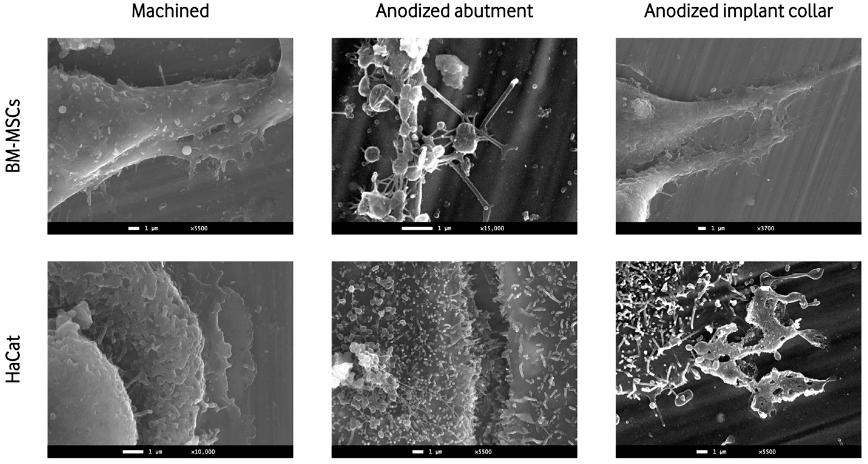 Materials 16 06012 g003