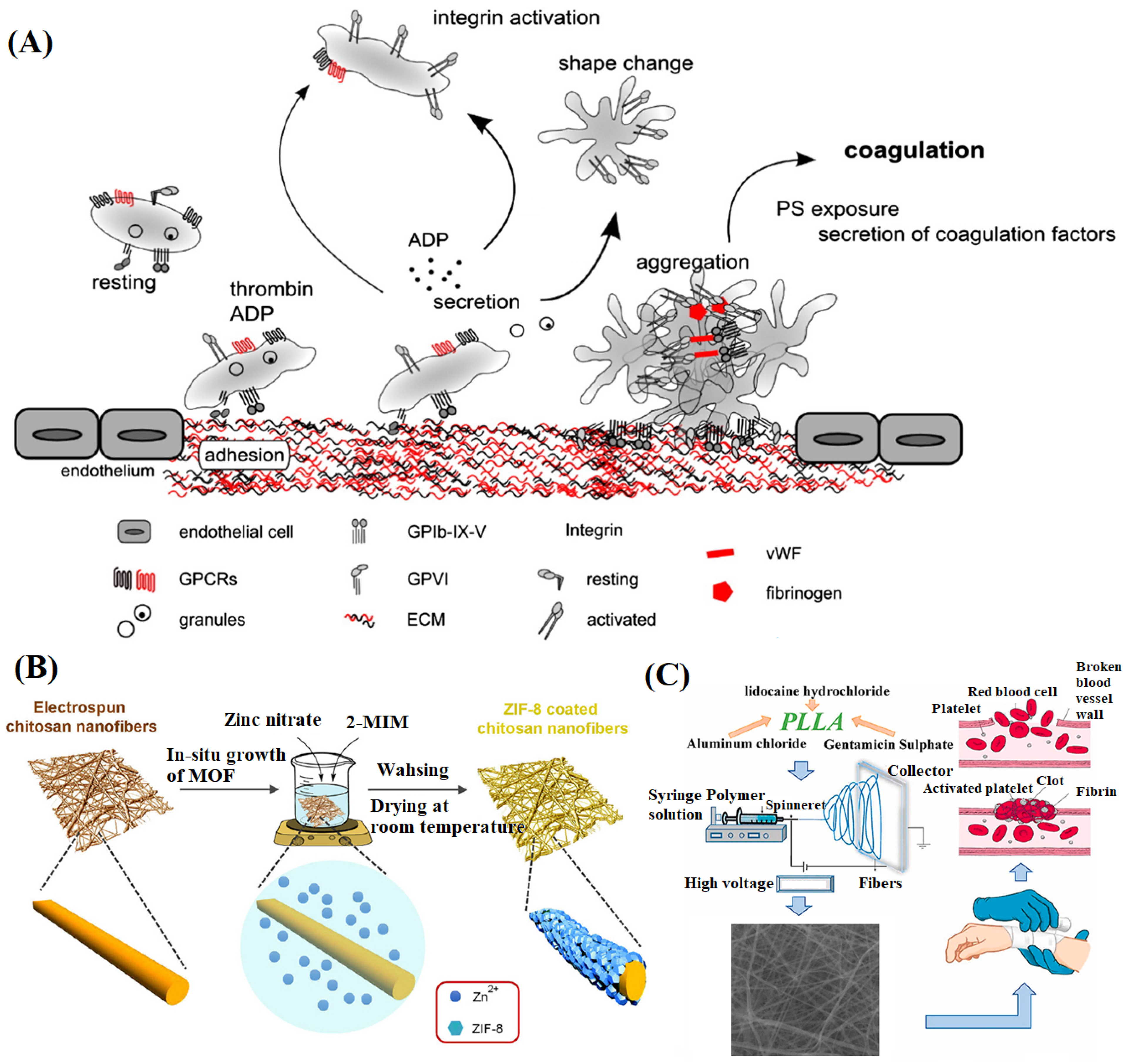 Materials 16 06021 g003