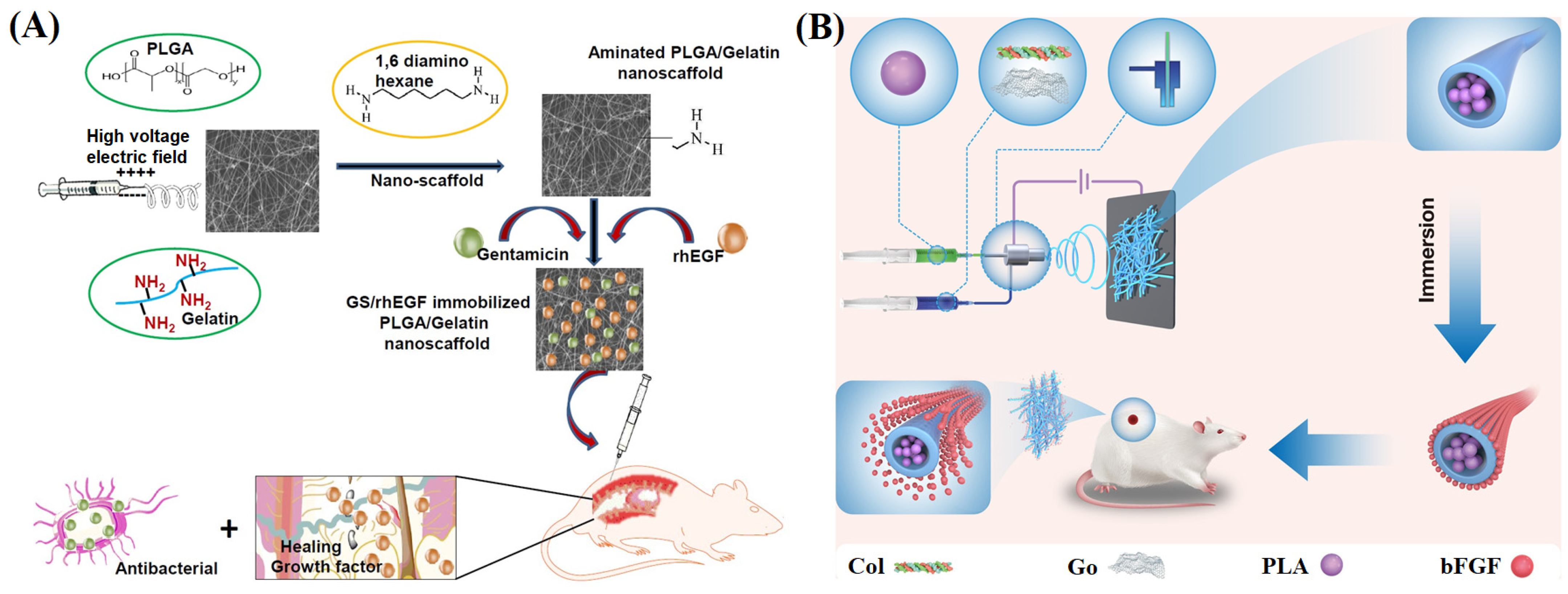 Materials 16 06021 g005