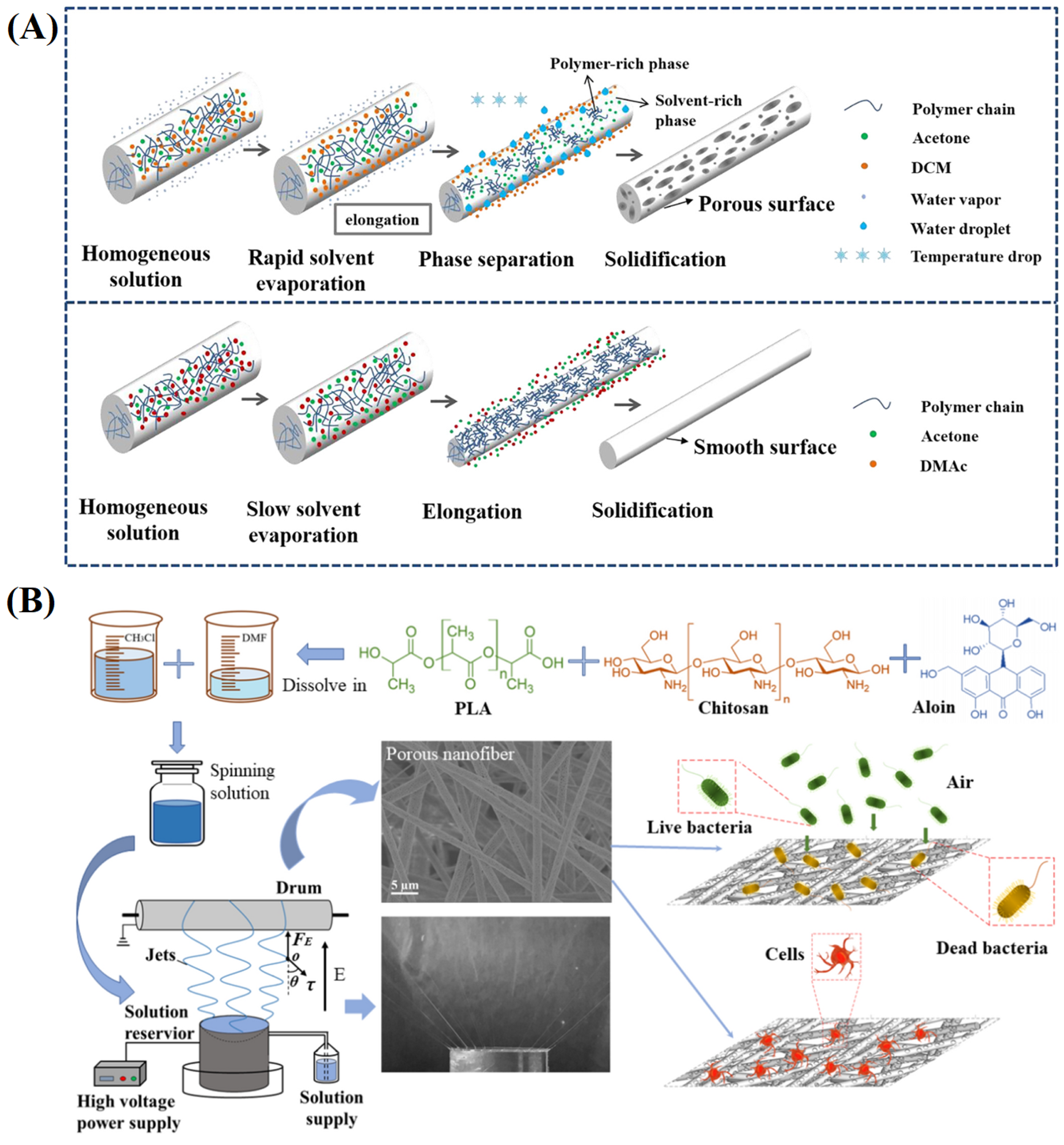 Materials 16 06021 g007