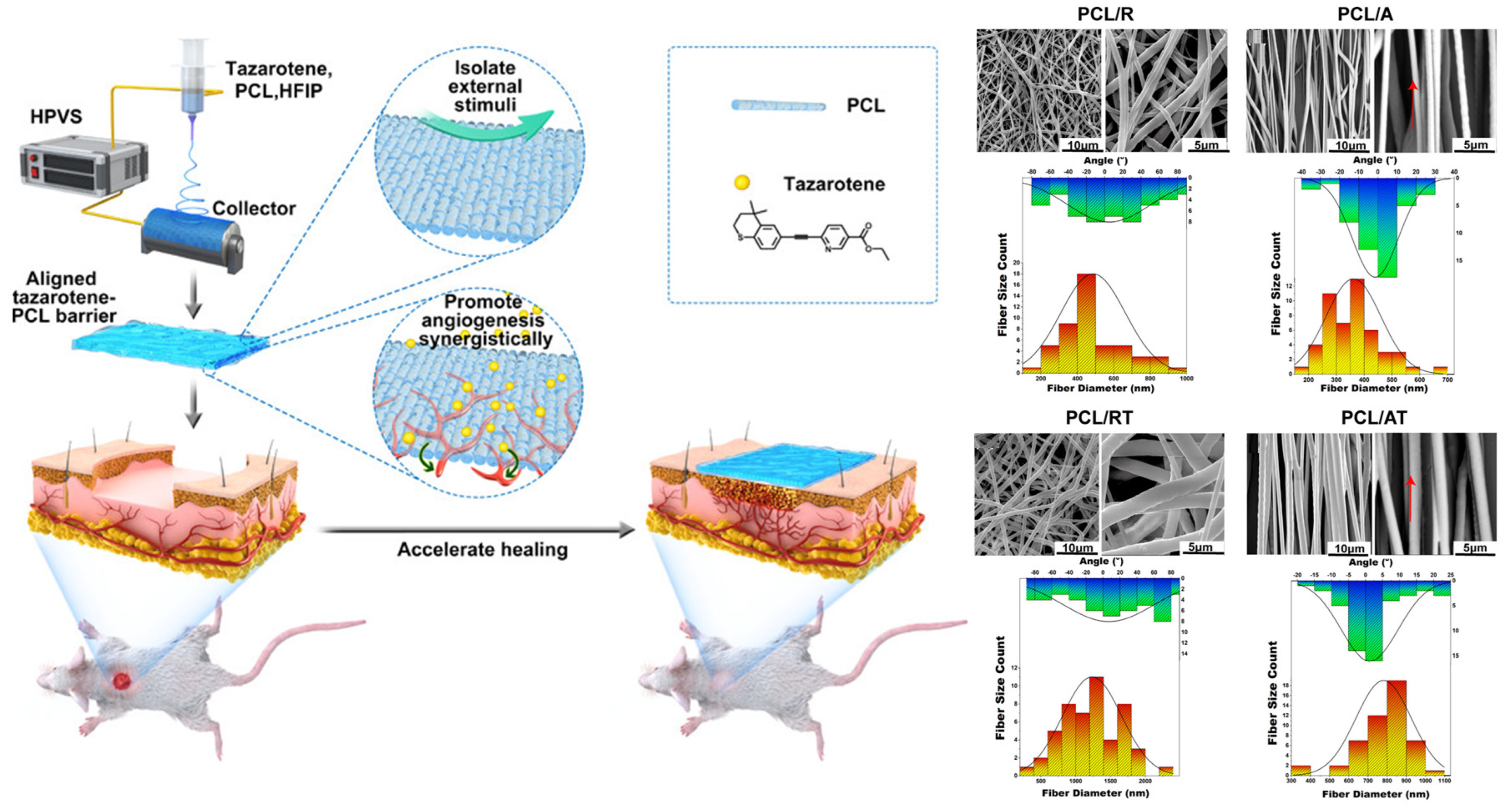 Materials 16 06021 g011