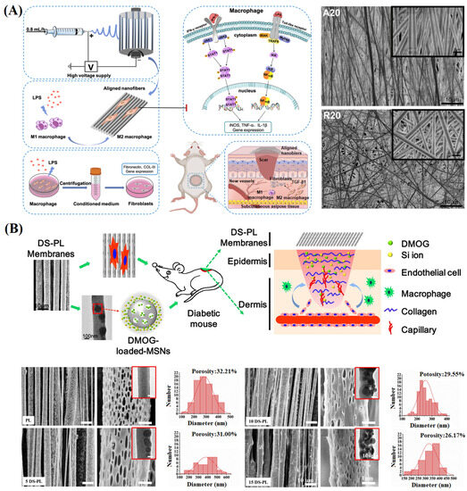 Electrospun Nanofiber Membranes with Various Structures for Wound
