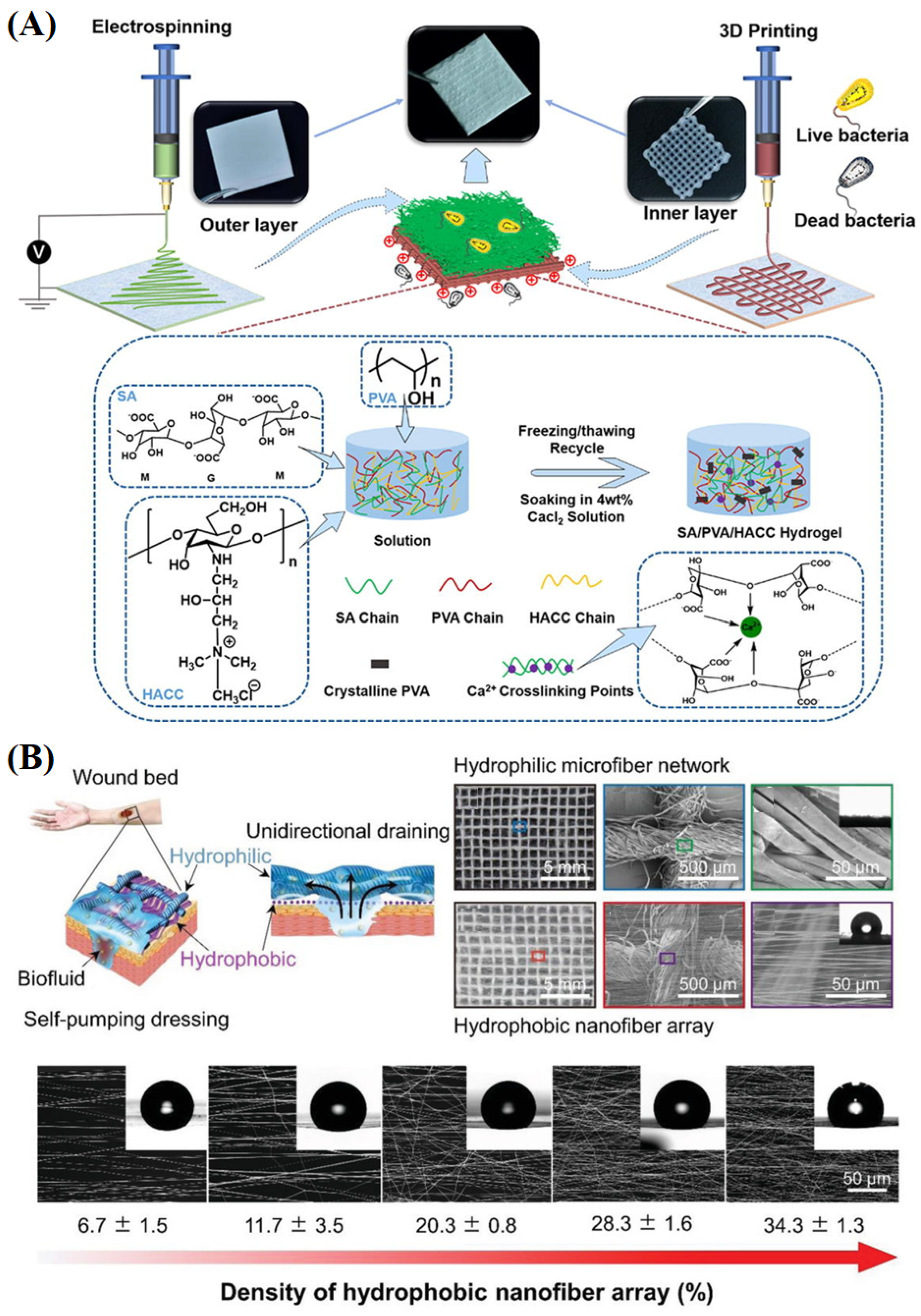 Materials 16 06021 g013