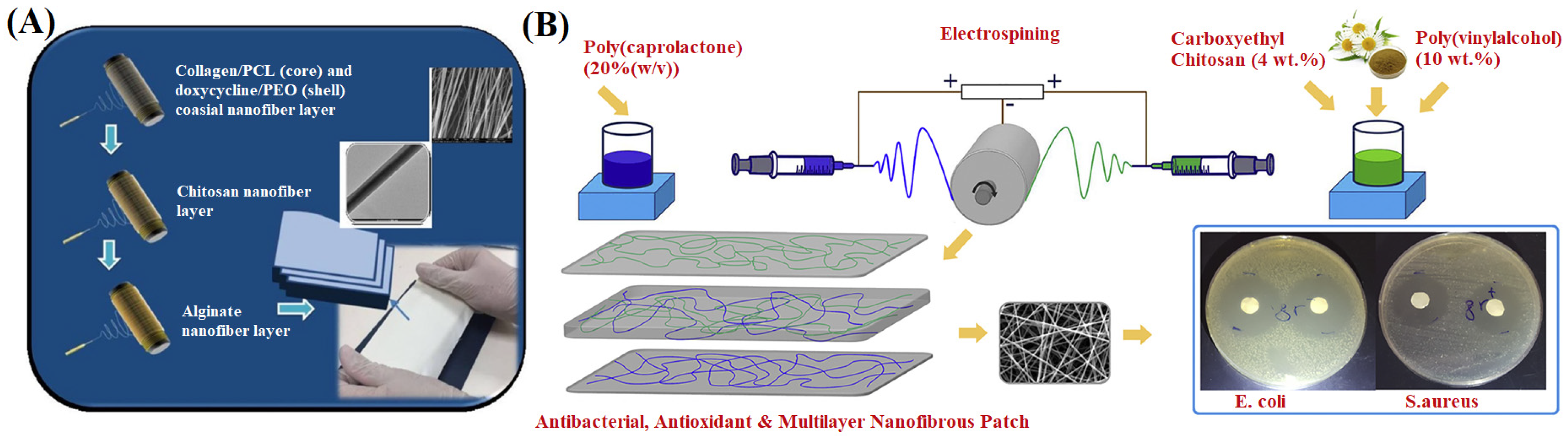 Materials 16 06021 g014