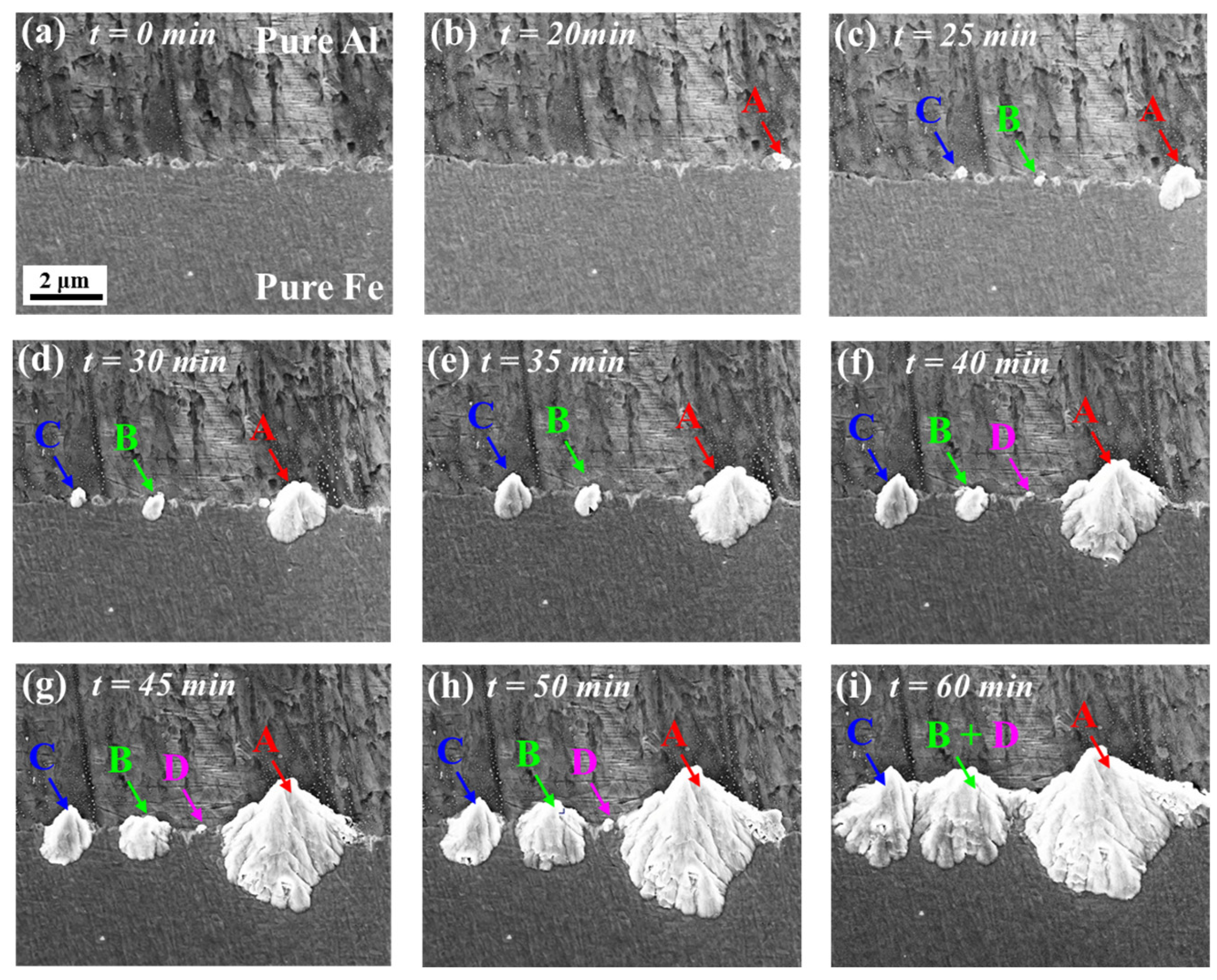 Materials 16 06022 g003