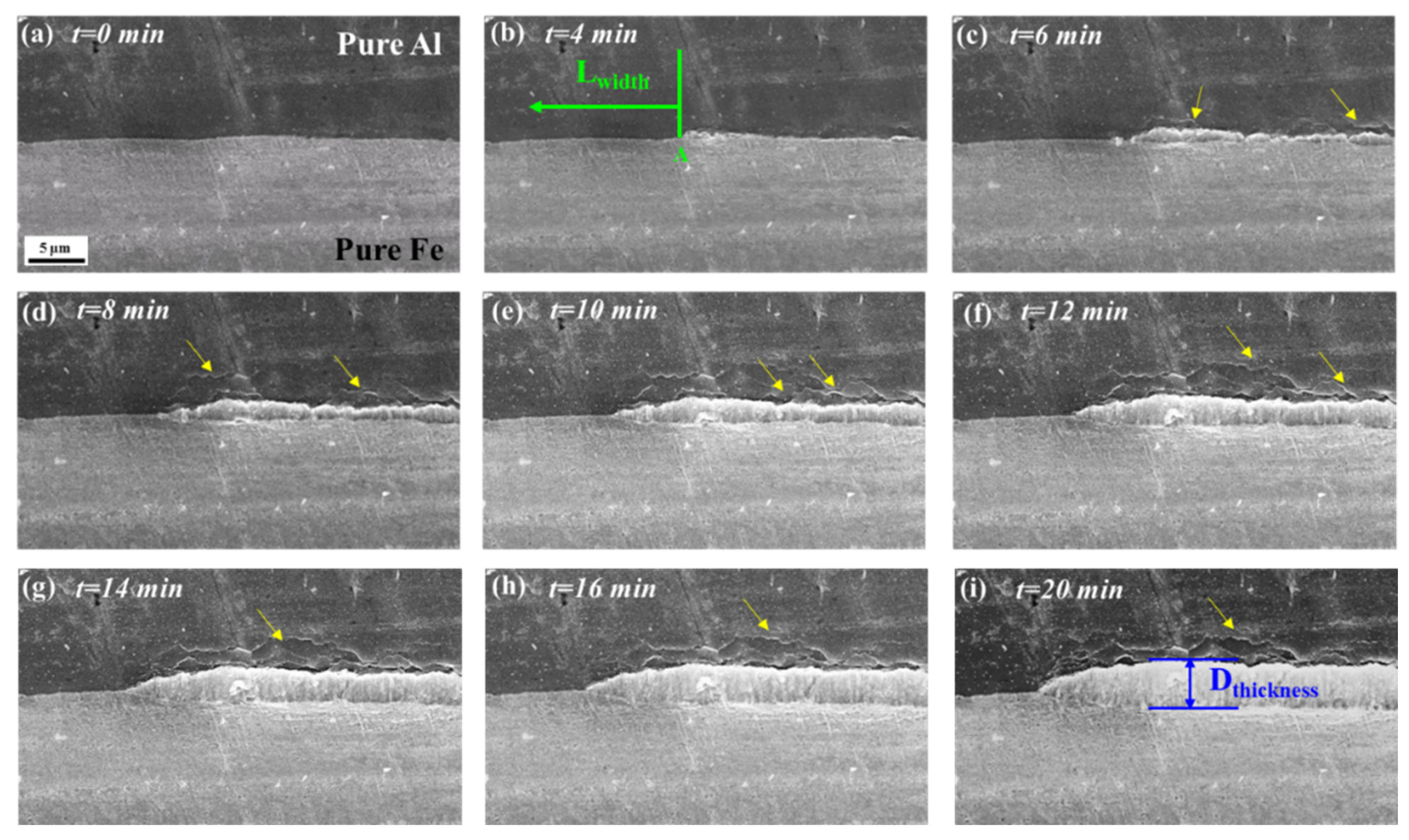 Materials 16 06022 g006