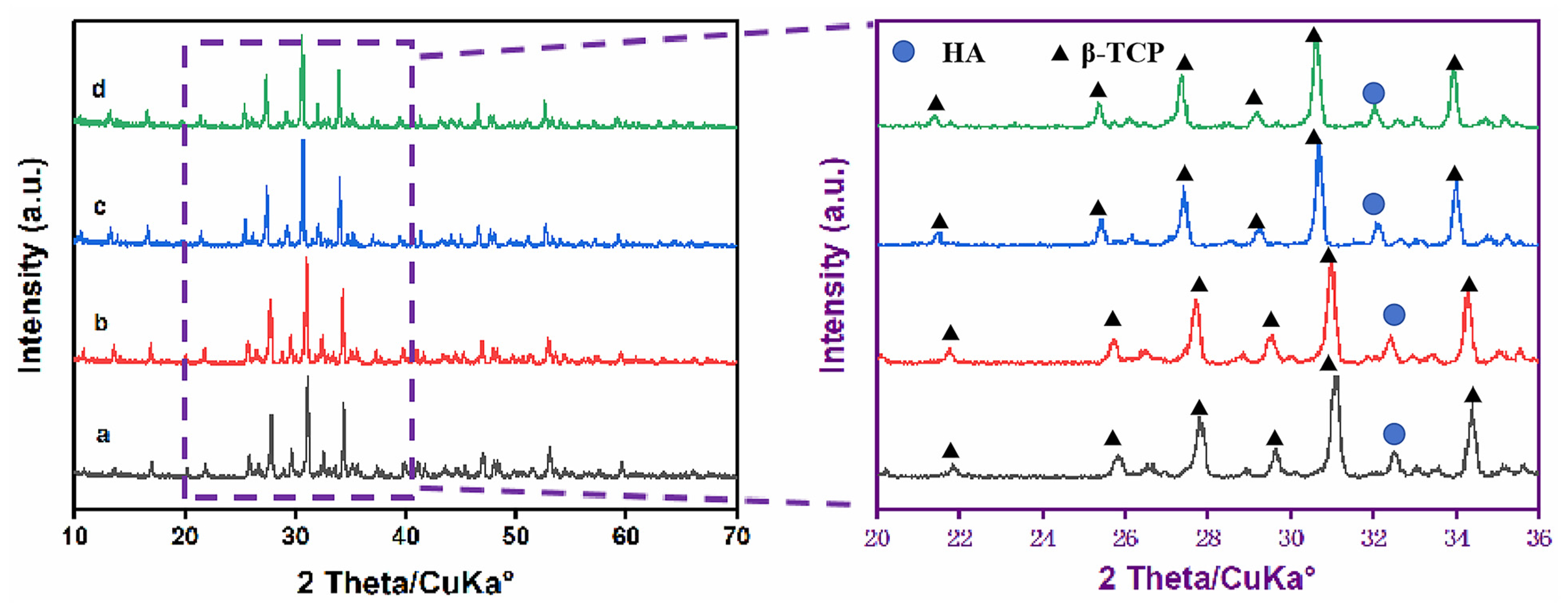 Materials 16 06025 g001