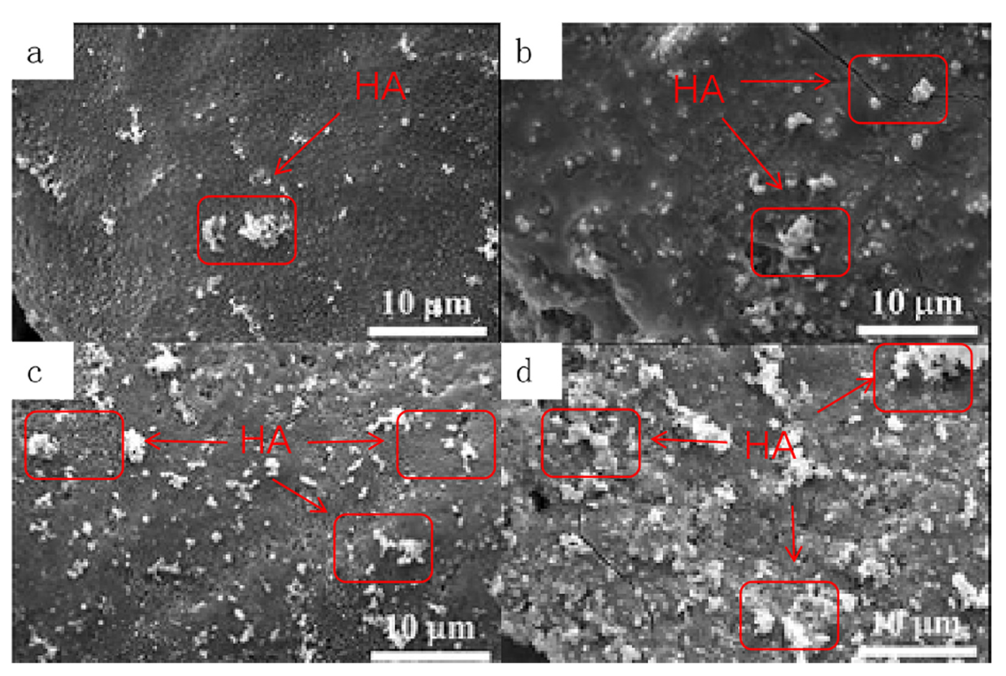 Materials 16 06025 g011