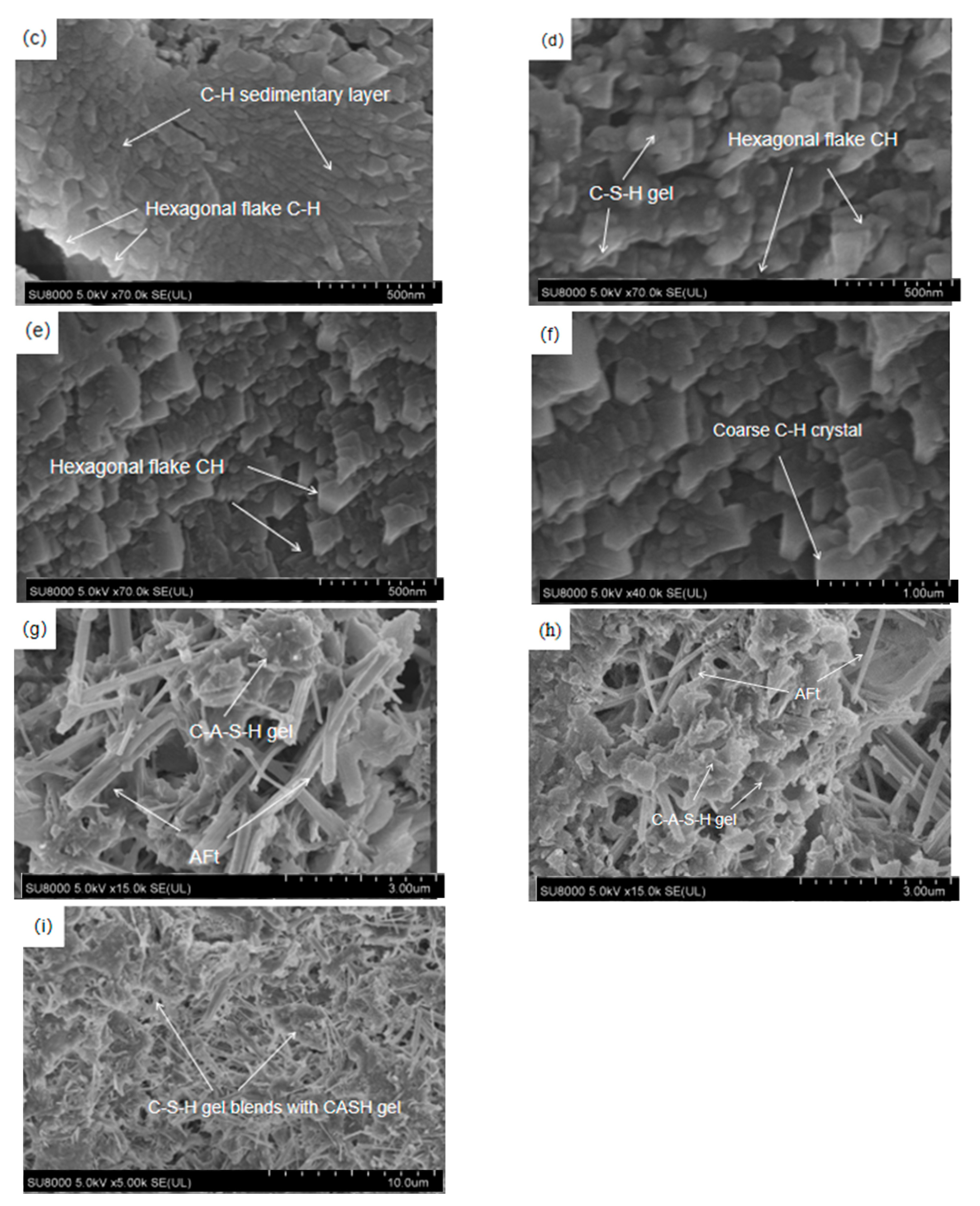 Materials 16 06029 g010b