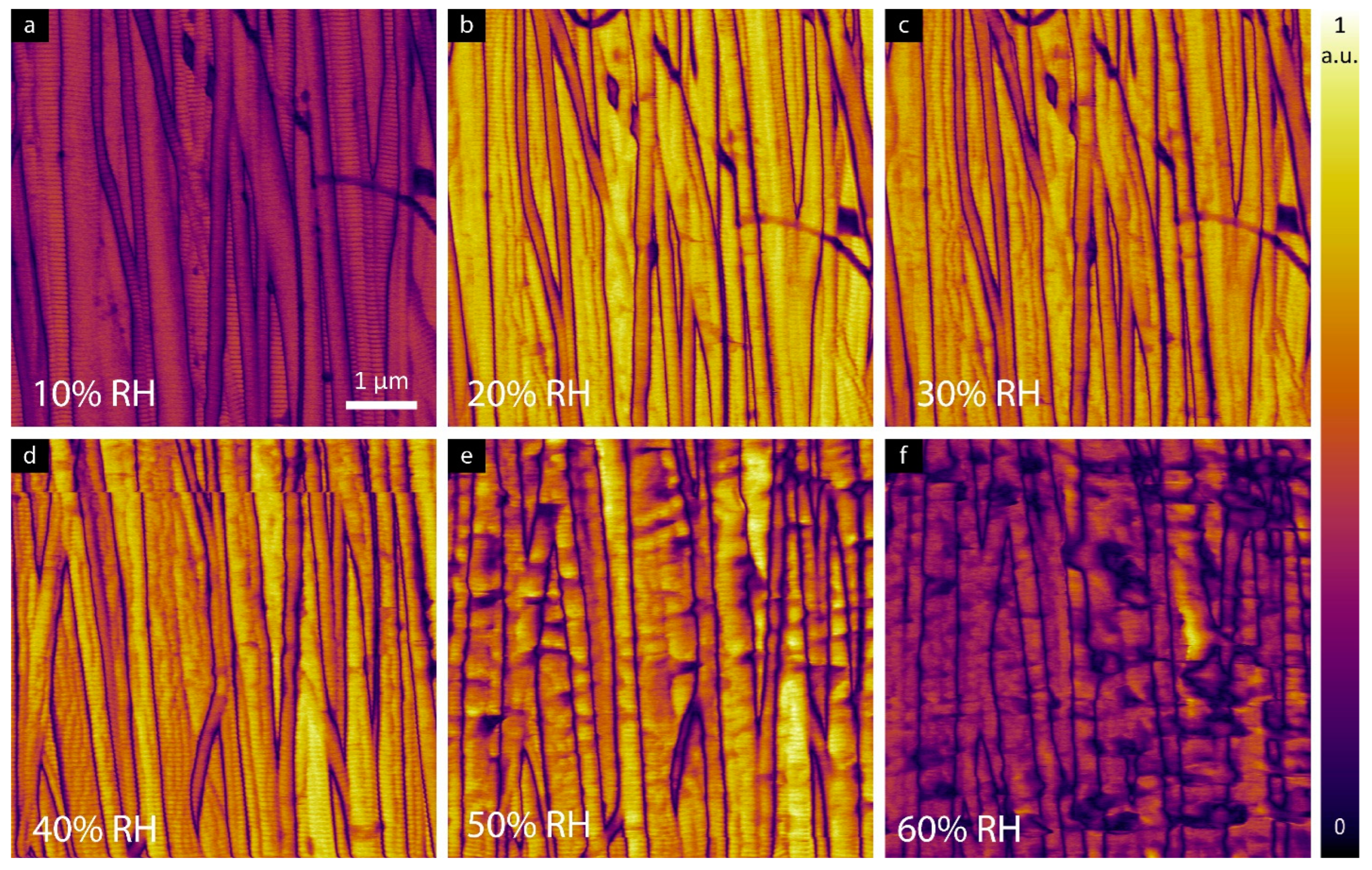 Materials 16 06034 g004