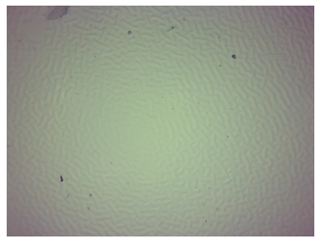 Materials 16 06037 i008