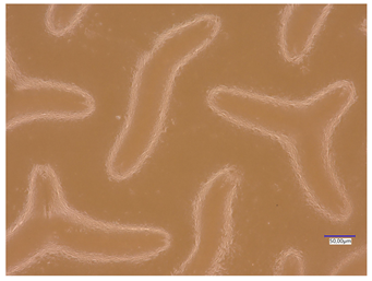 Materials 16 06037 i013