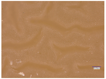 Materials 16 06037 i015