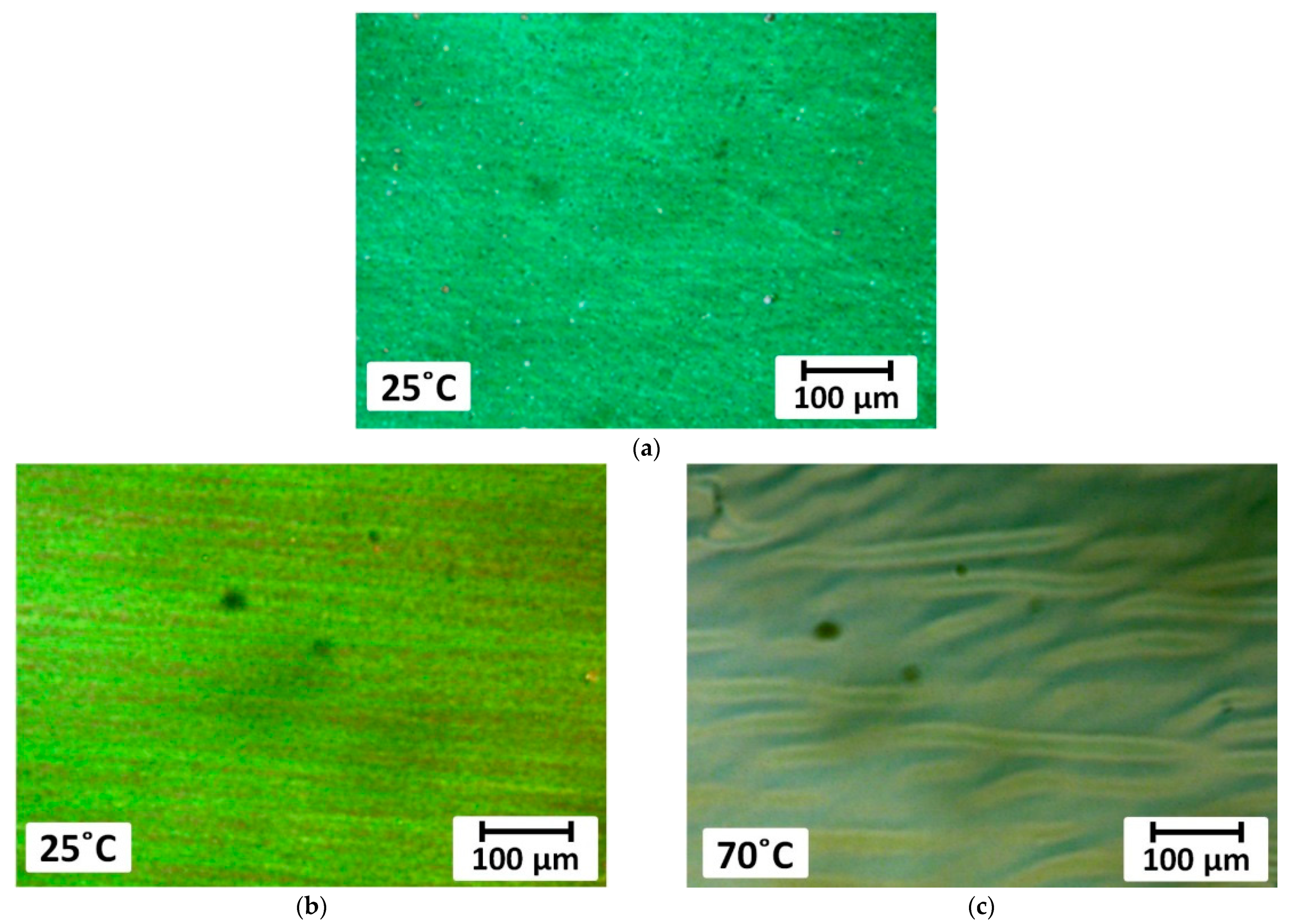 Materials 16 06038 g010a