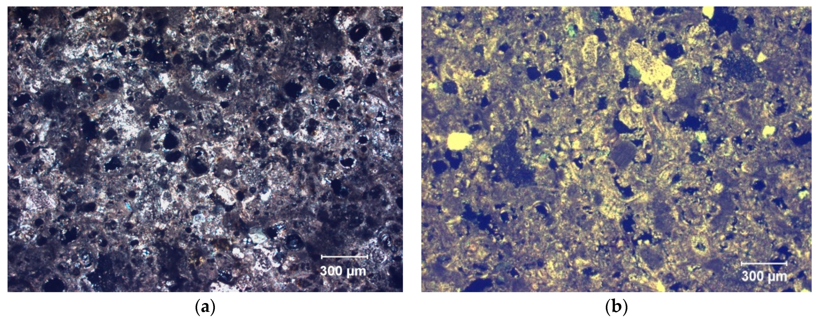 Materials 16 06043 g004