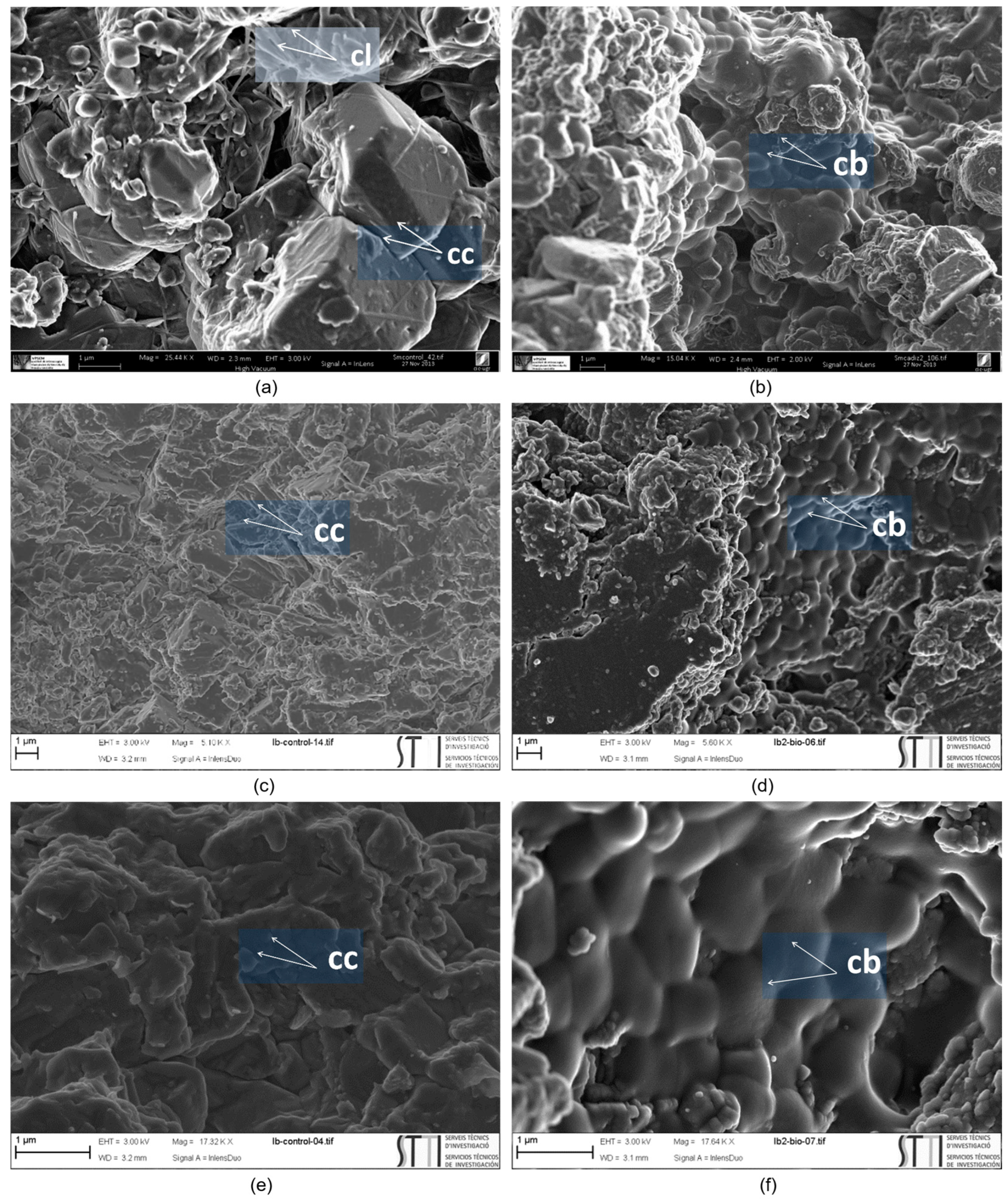 Materials 16 06043 g005