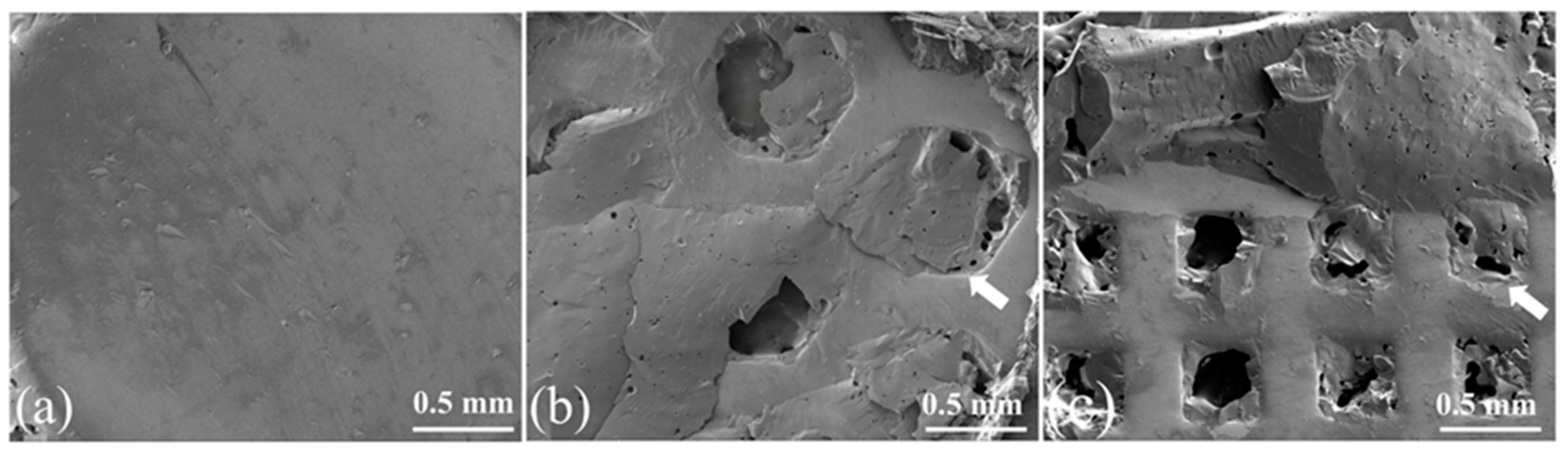 Materials 16 06072 g011