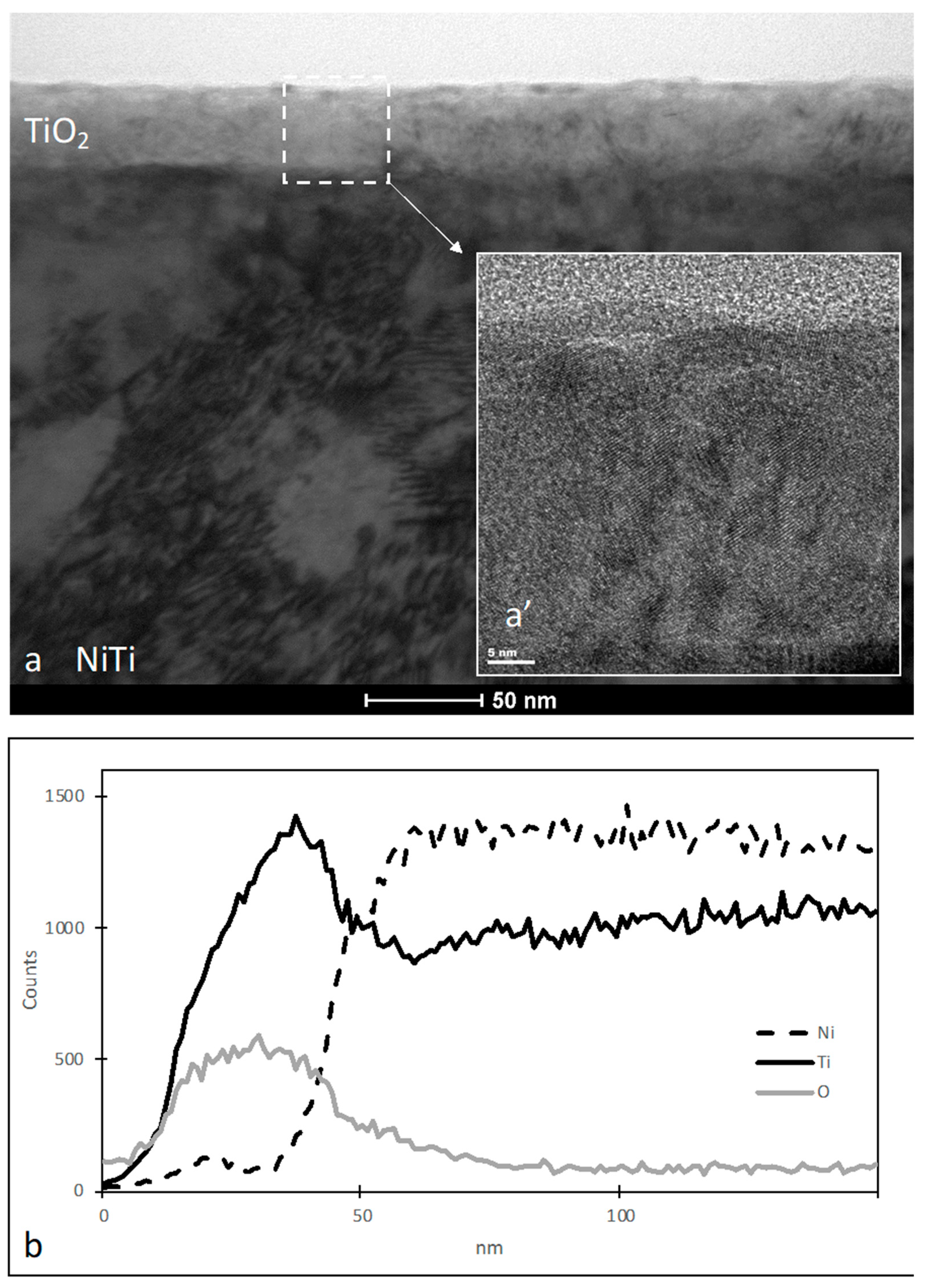 Materials 16 06086 g001 Materials 16 06086 g001