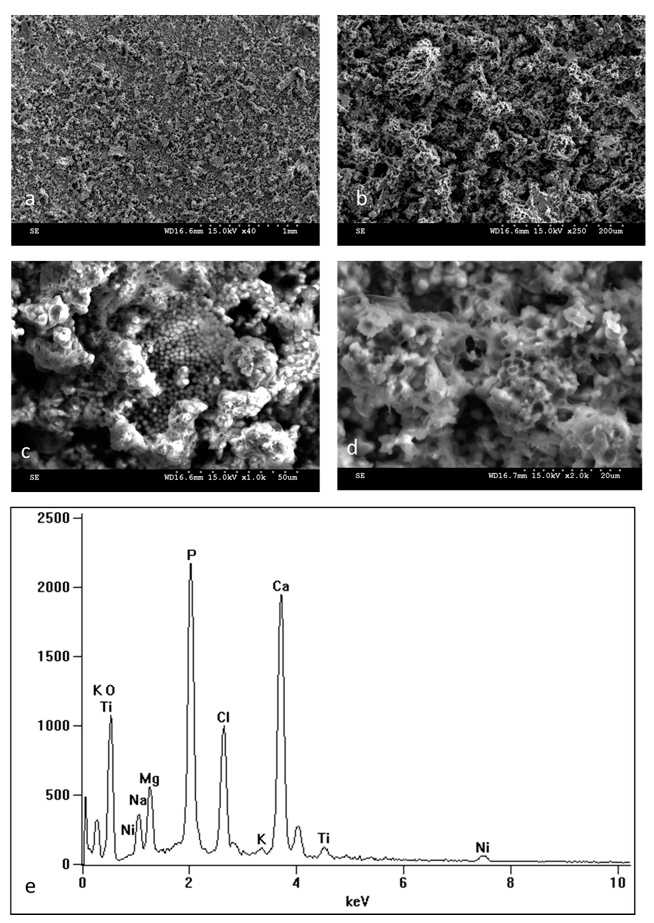 Materials 16 06086 g003 Materials 16 06086 g003