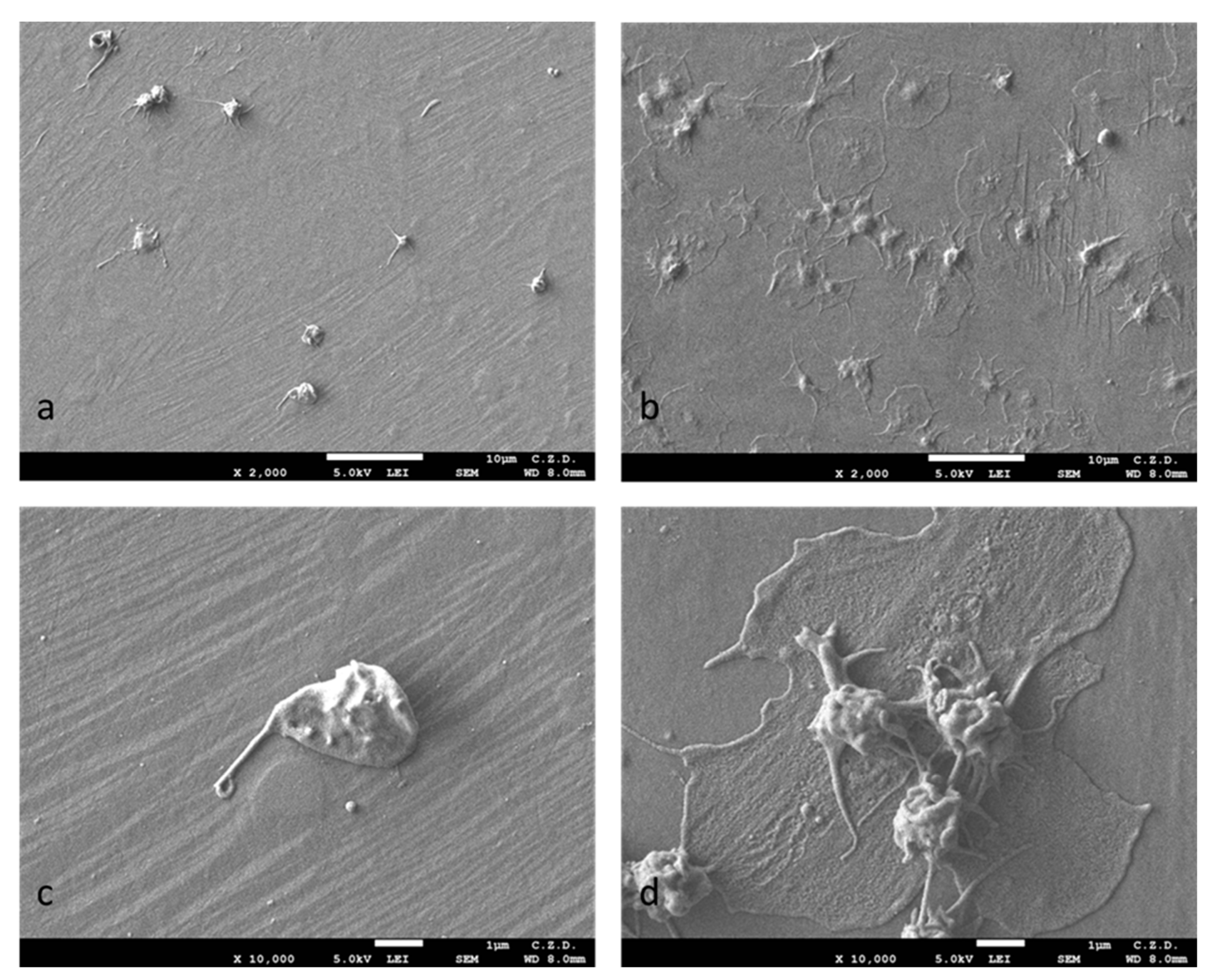 Materials 16 06086 g005 Materials 16 06086 g005