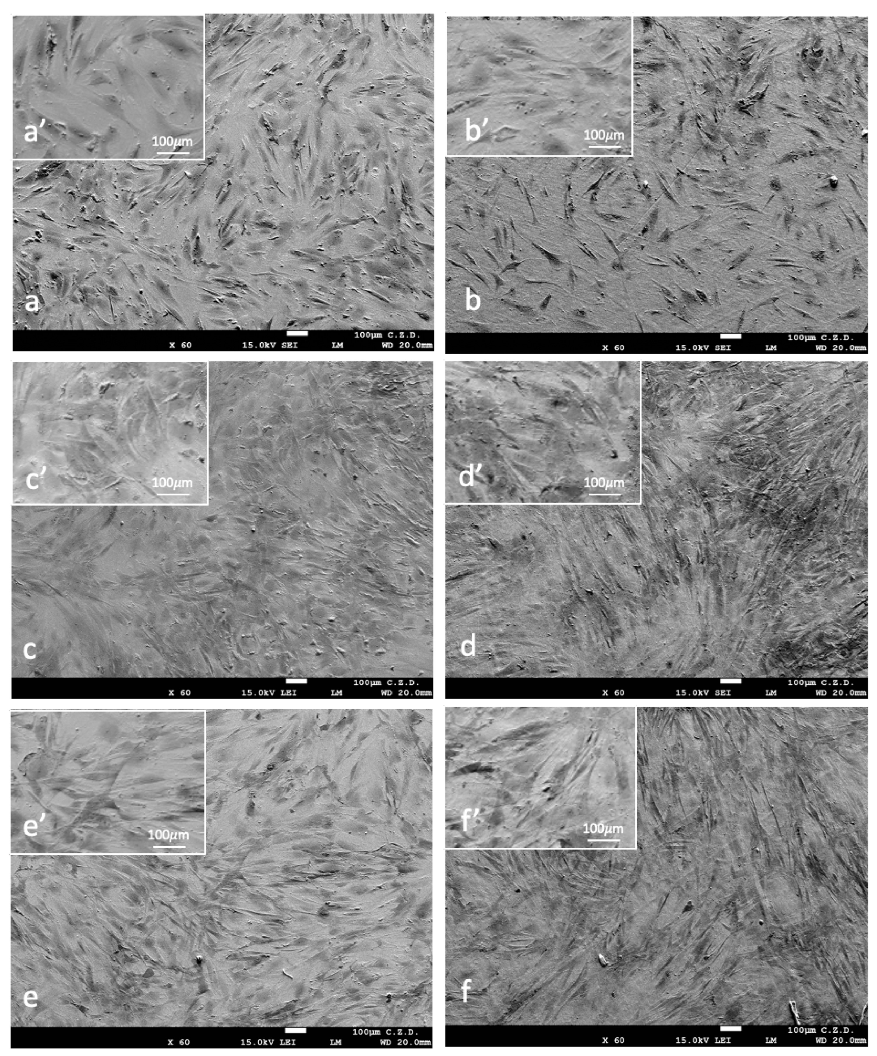 Materials 16 06086 g008 Materials 16 06086 g008