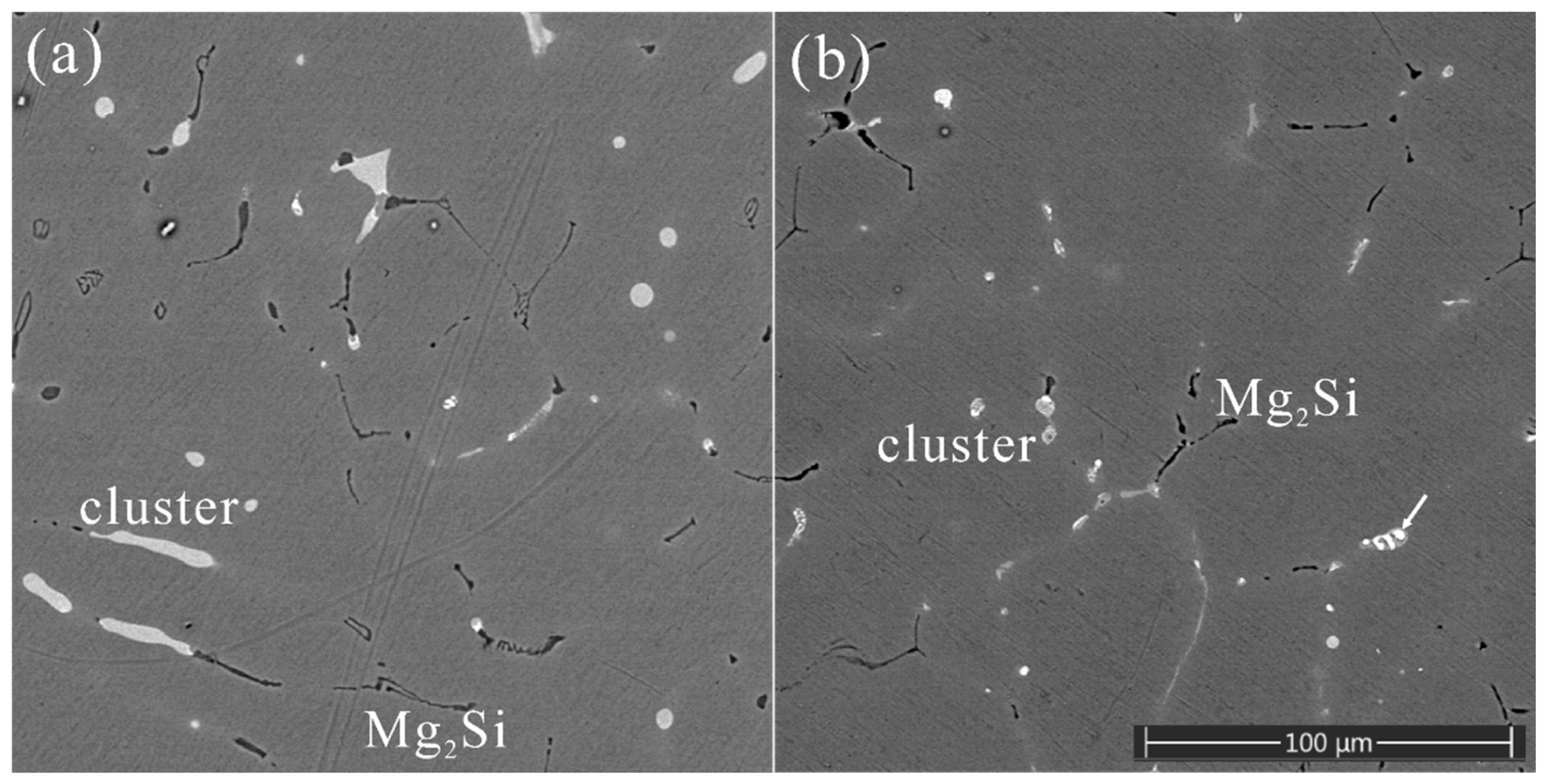 Materials 16 06091 g001