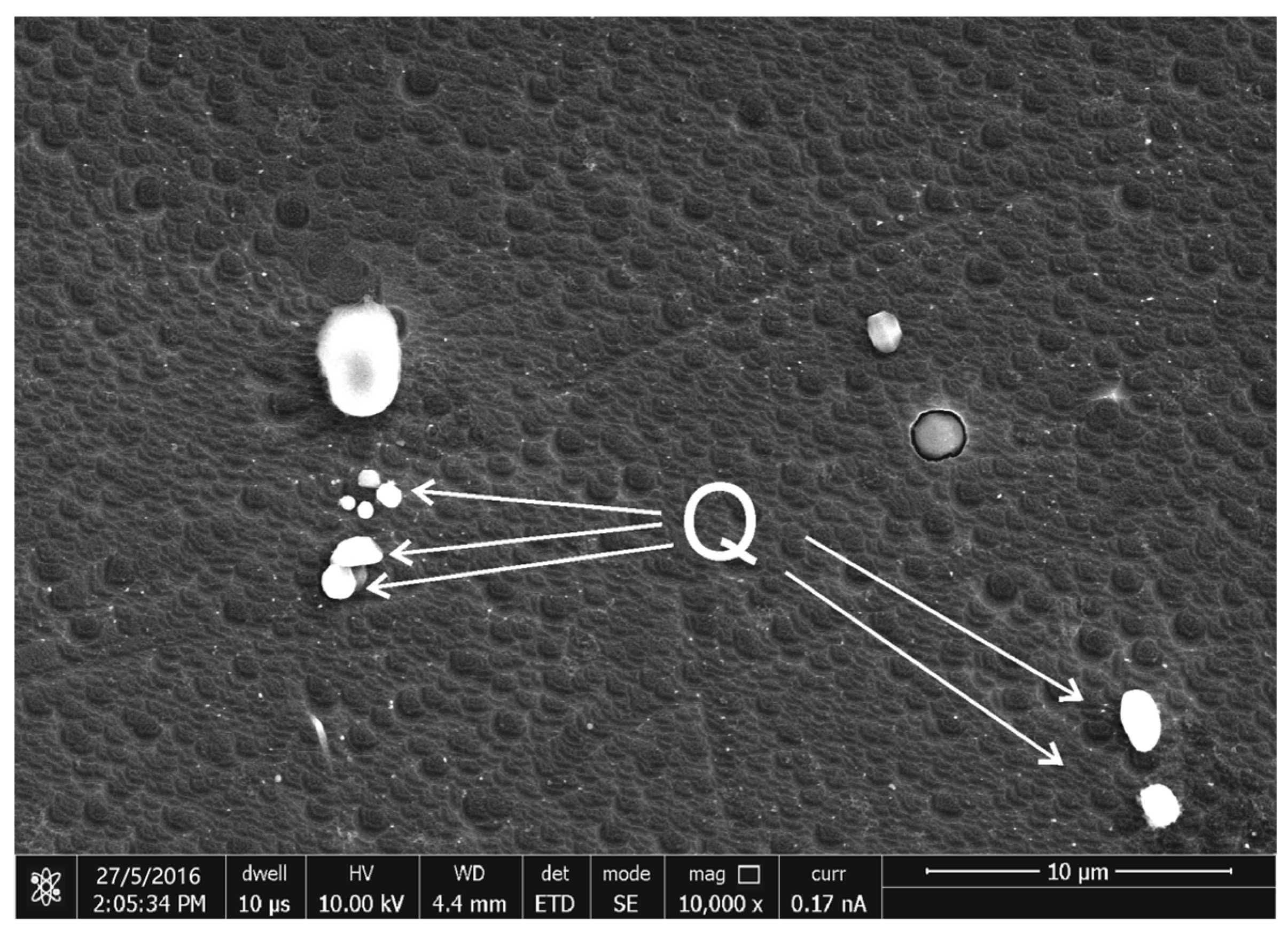 Materials 16 06091 g009